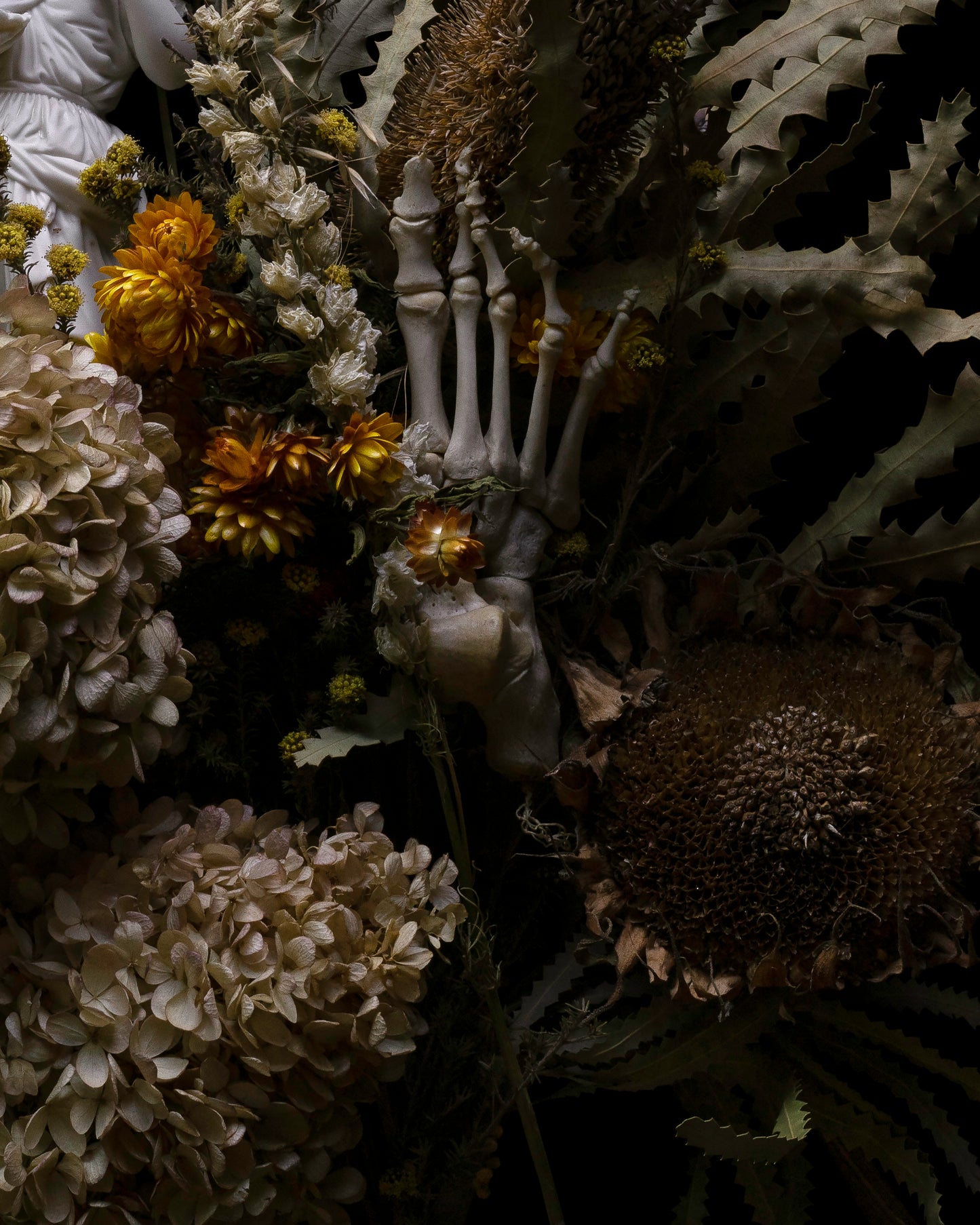 'Aequinoctium' -  Limited Run Print