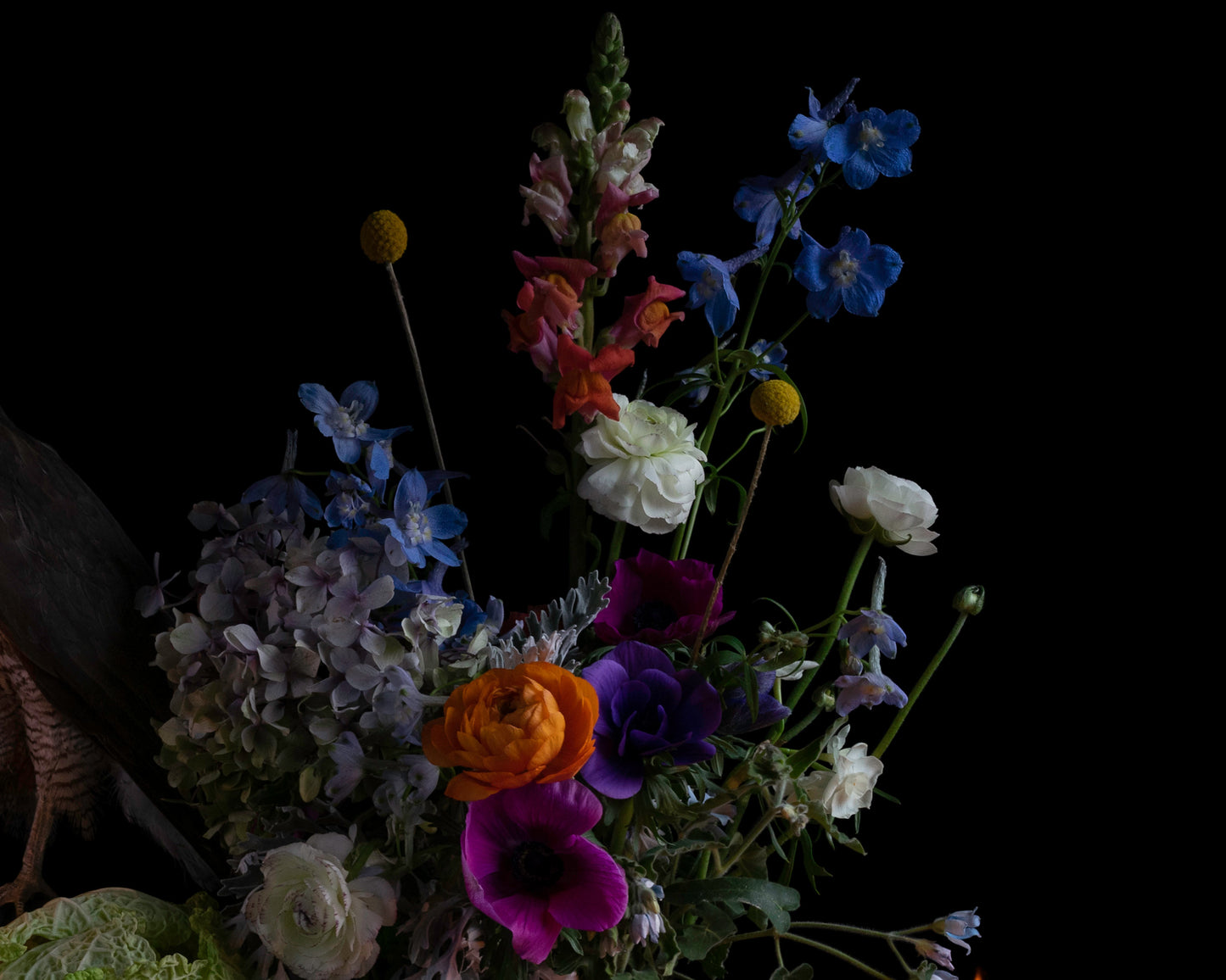 'Anima' -  Limited Run Print