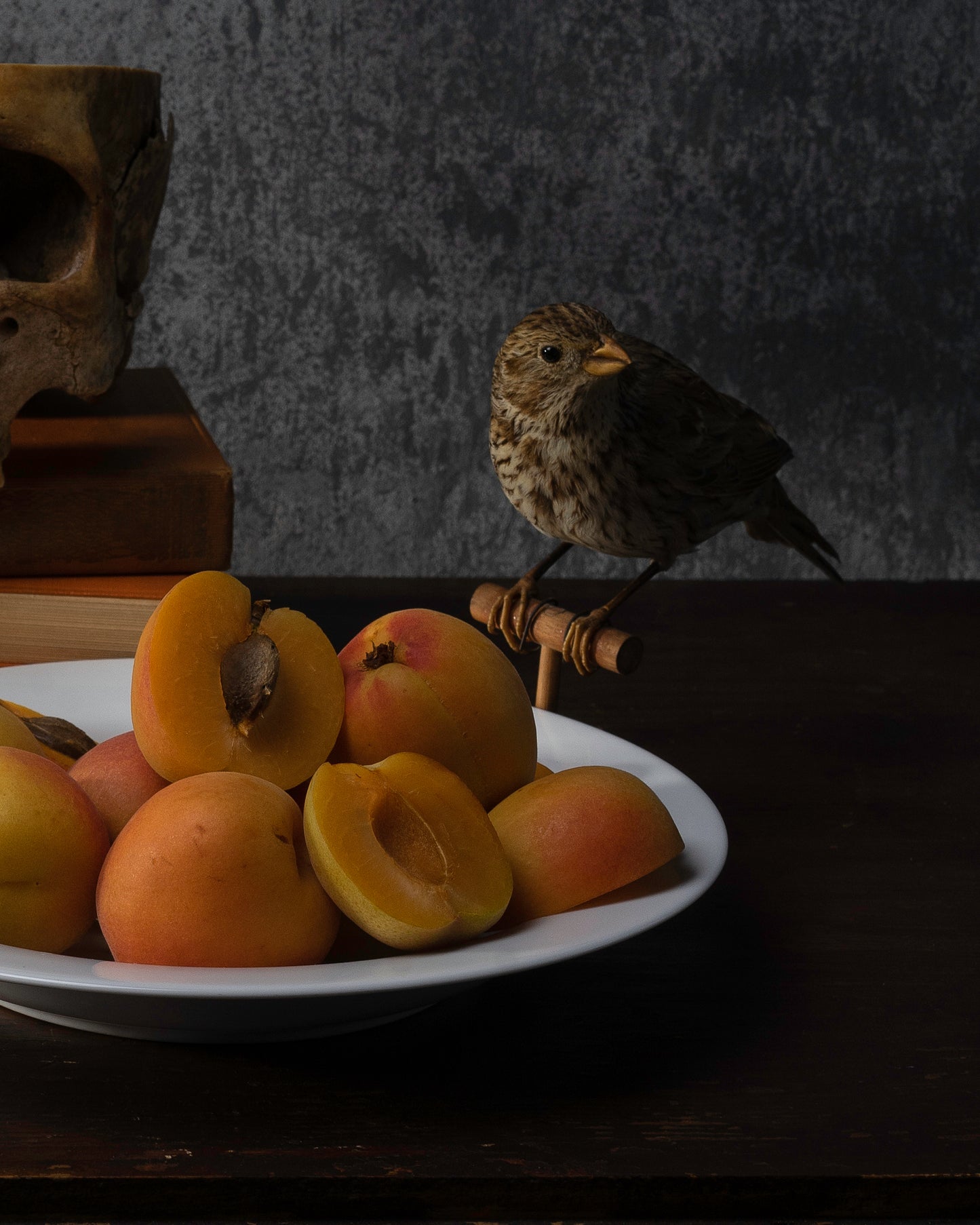 'Beginnan' -  Limited Run Print