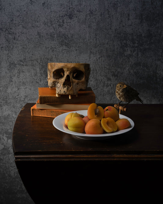 'Beginnan' -  Limited Run Print