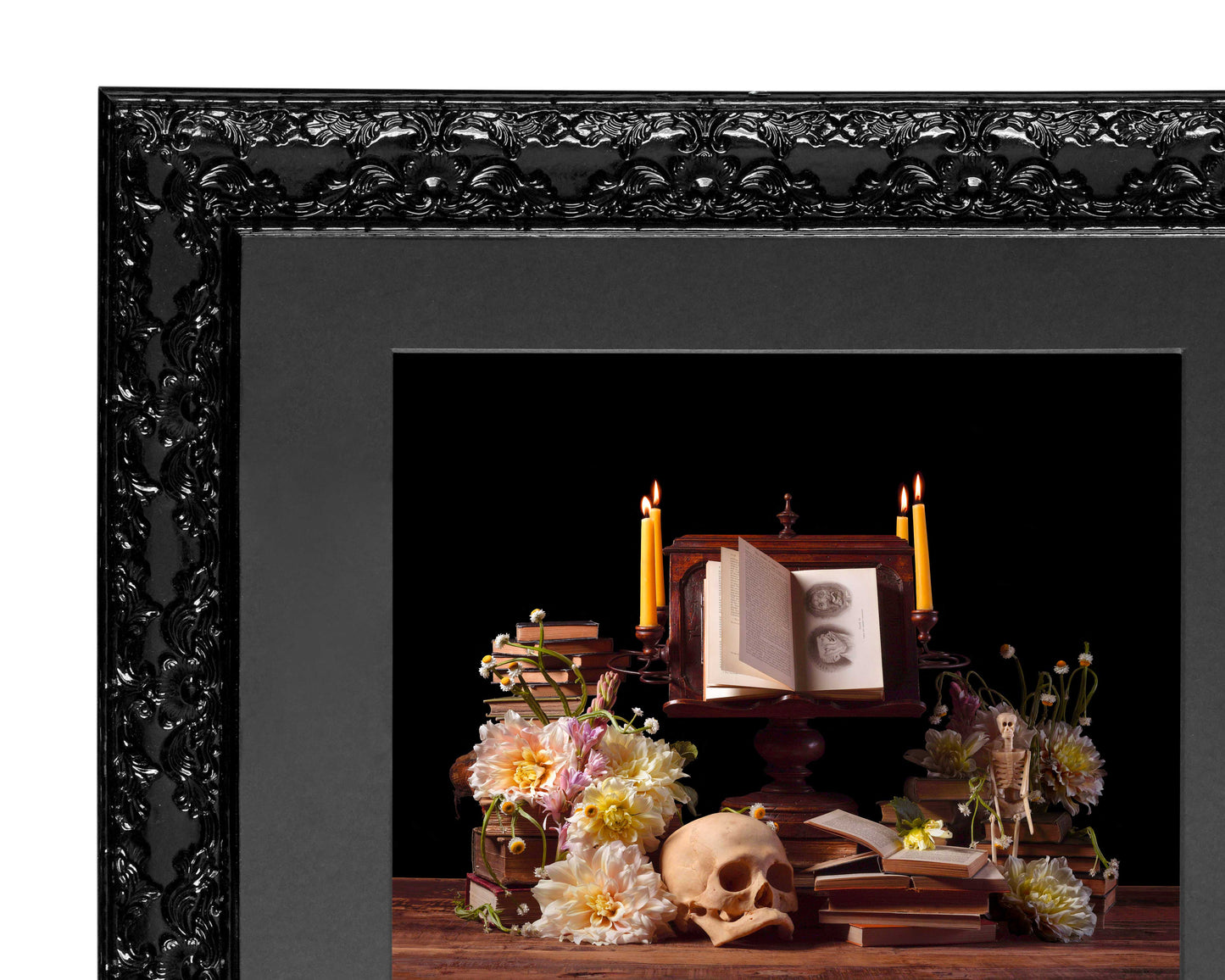 Monstrum - Victorian Inspired Wall Frame