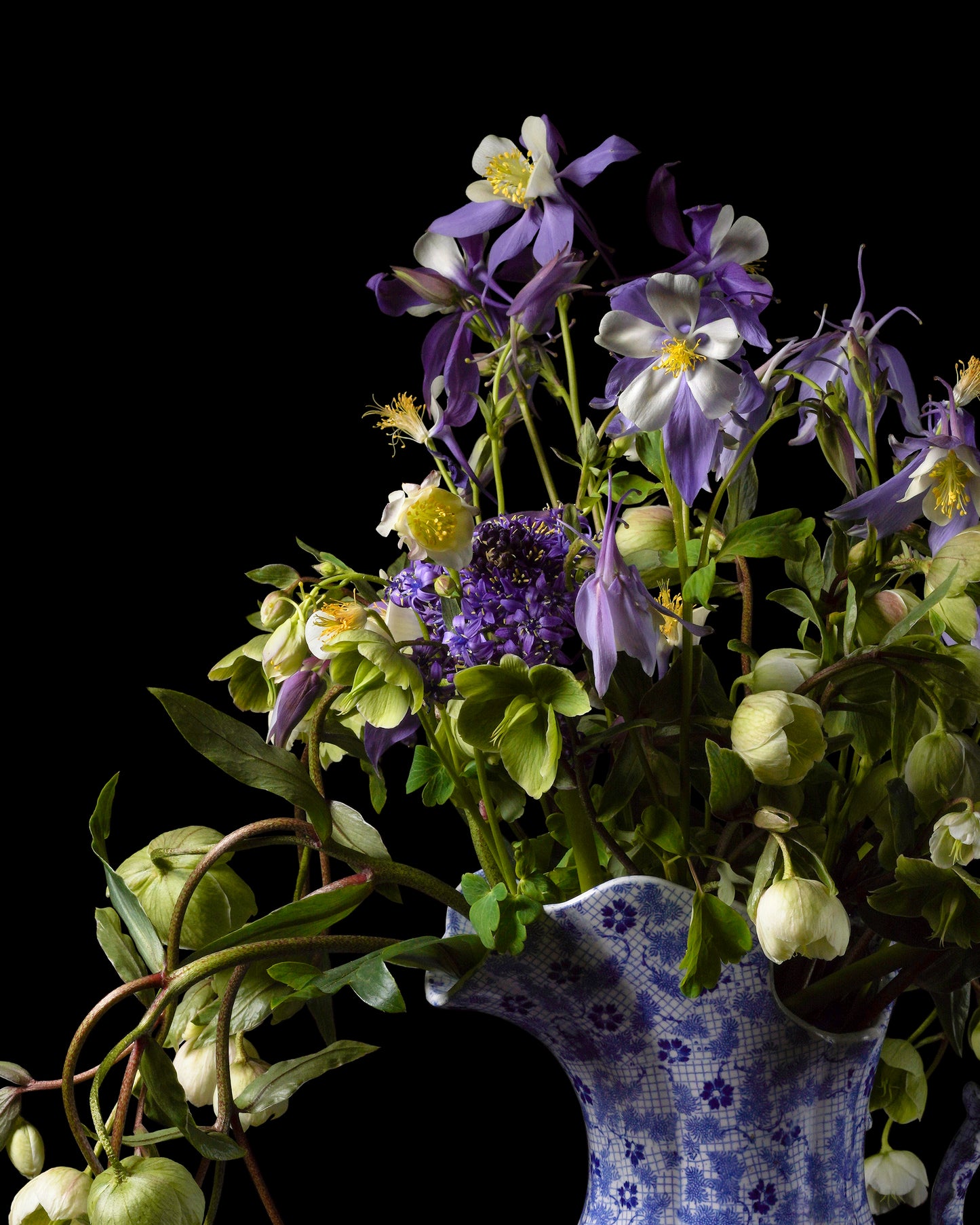 'Blõstm' -  Limited Run Print