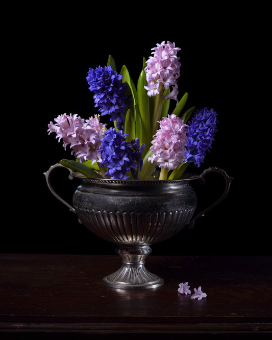 'Blõstmian' -  Limited Run Print