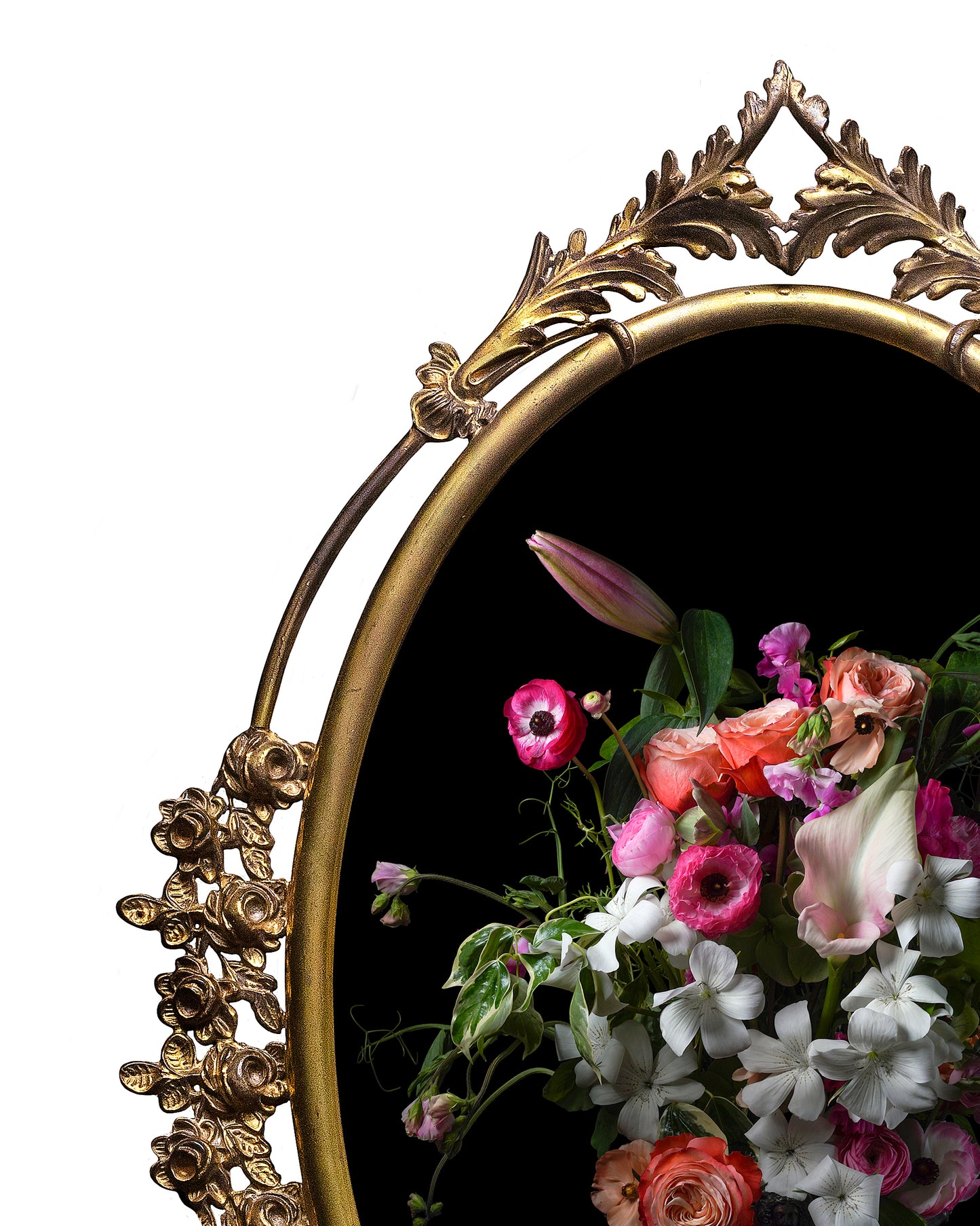 'Blyscan' in Victorian Frame