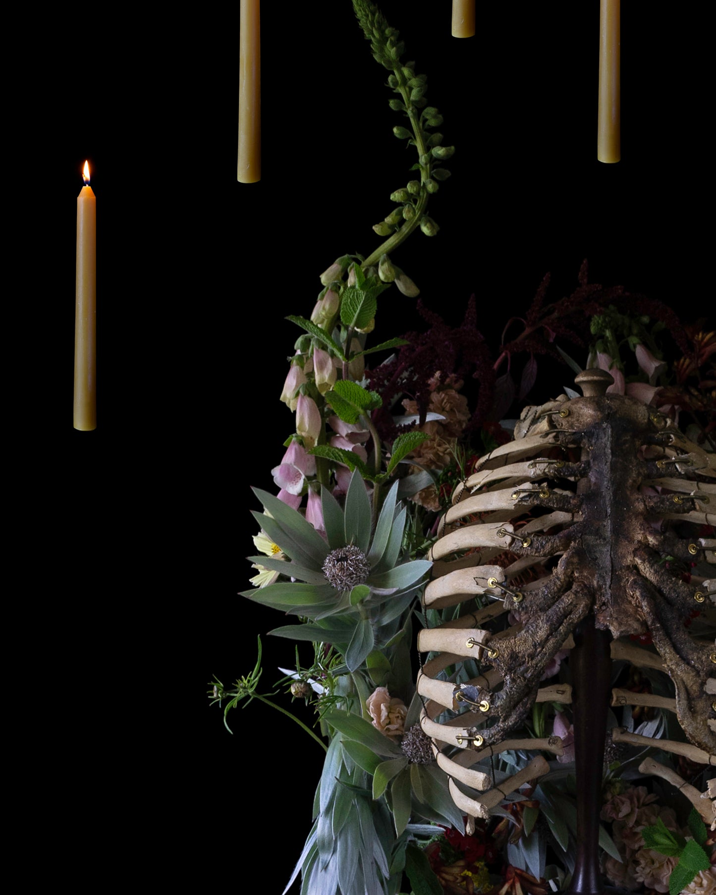 'Brāēth' - Limited Run Print
