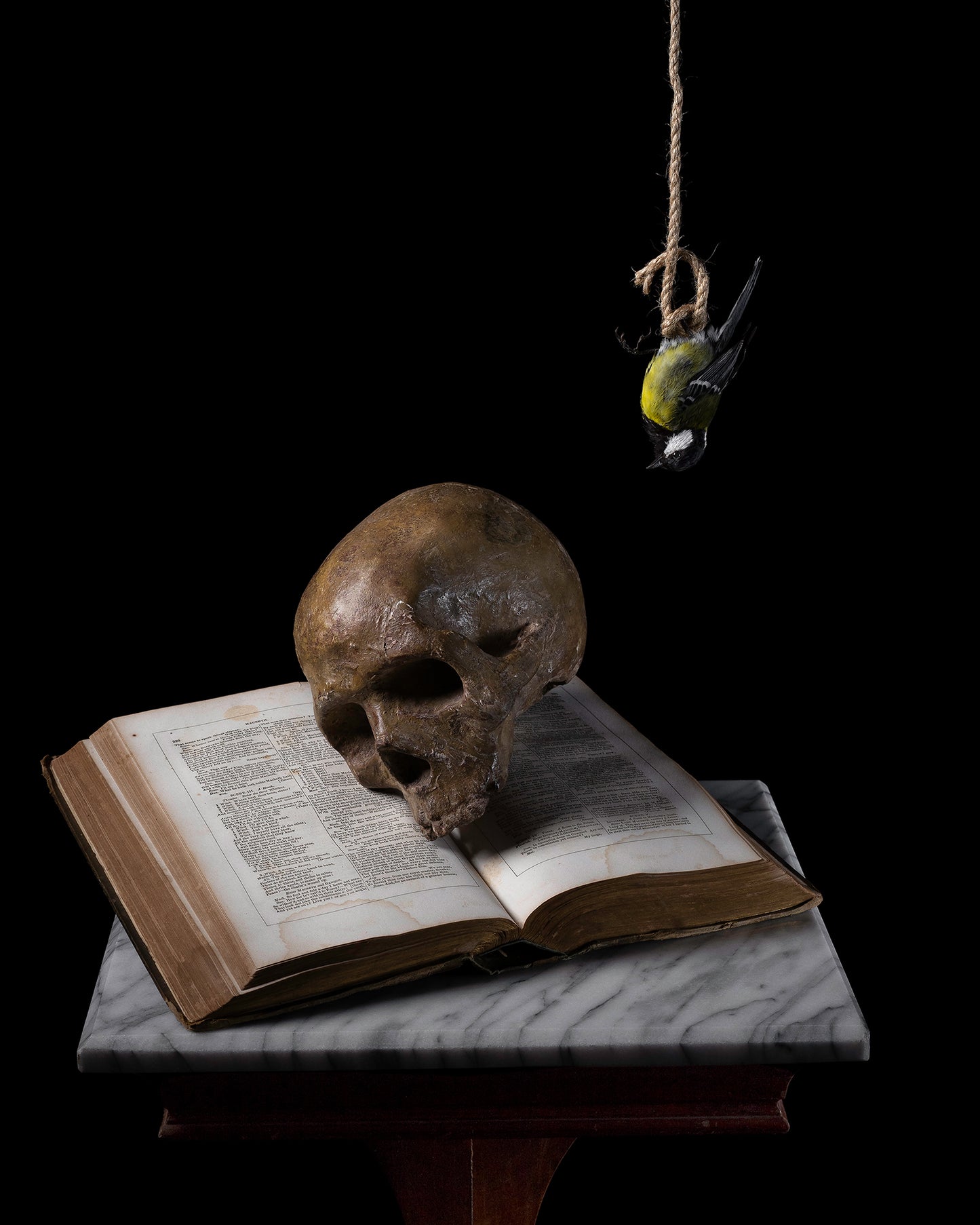 'Brevis' -  Limited Run Print