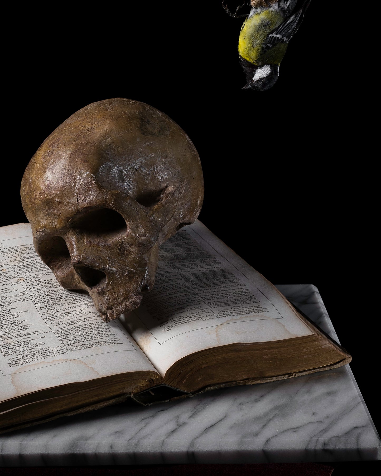 'Brevis' -  Limited Run Print