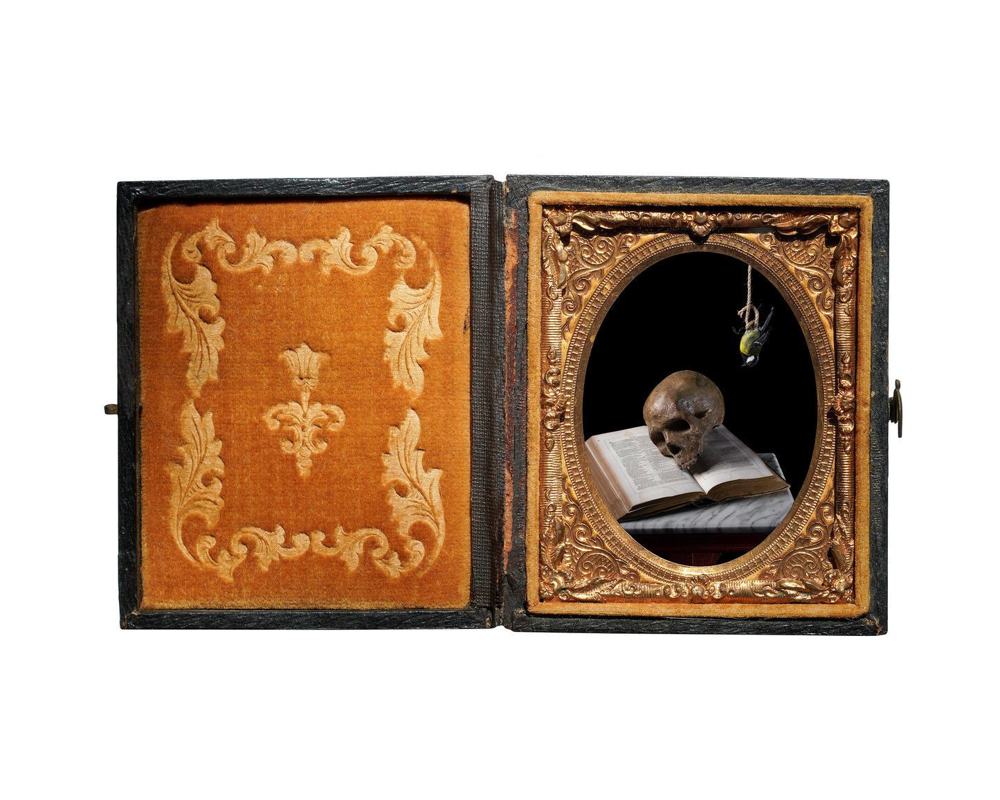 'Brevis' in Antique Union Case