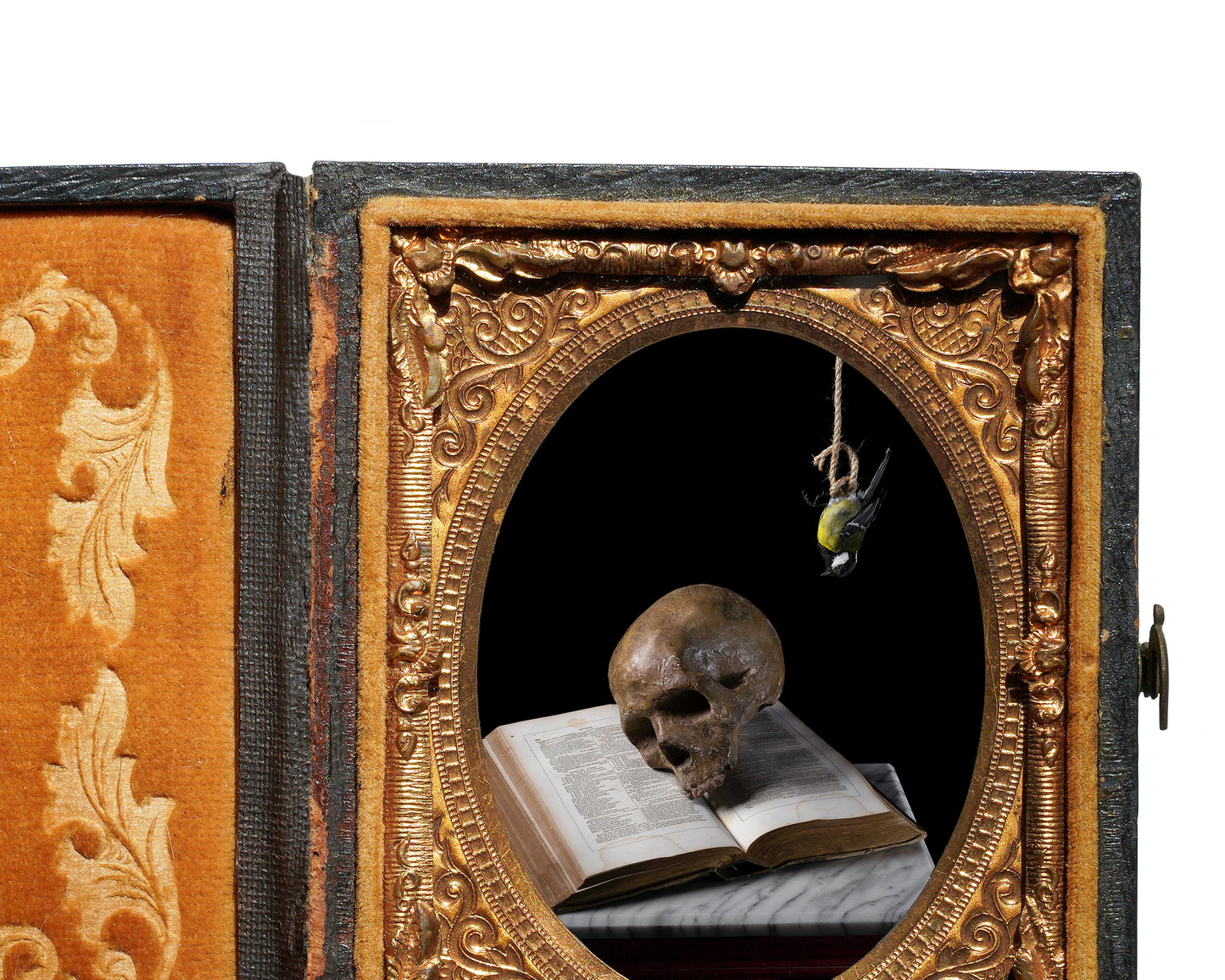 'Brevis' in Antique Union Case
