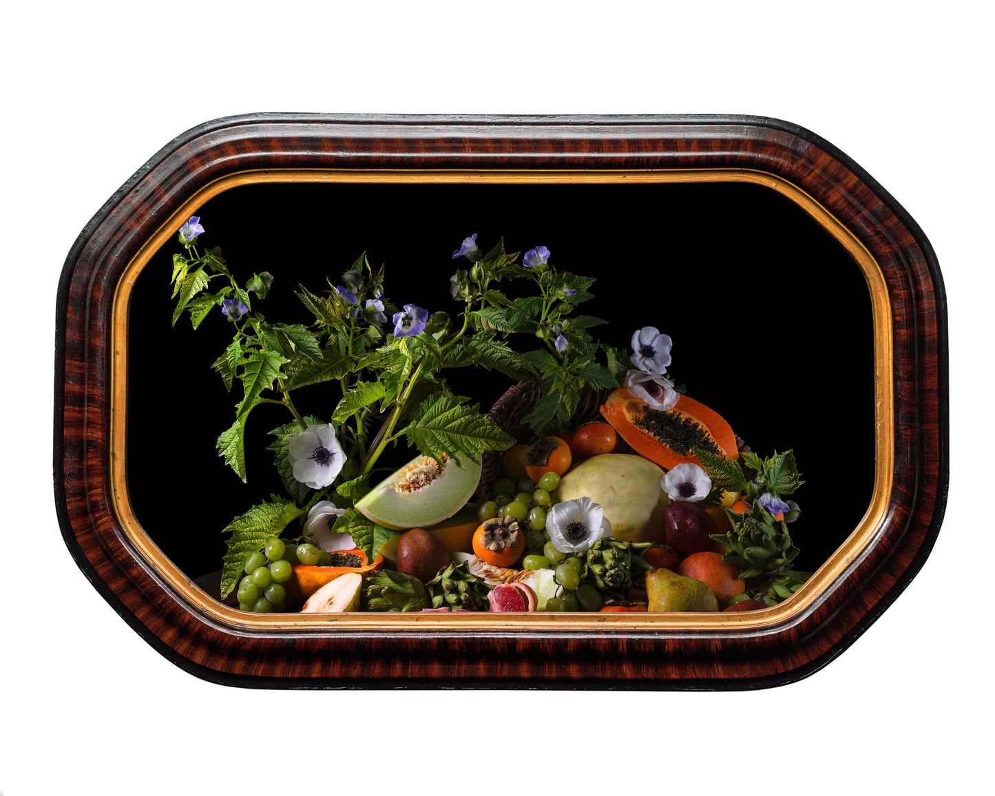 'Copia' in Victorian Frame