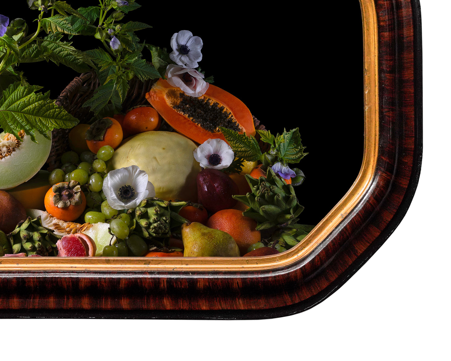 'Copia' in Victorian Frame
