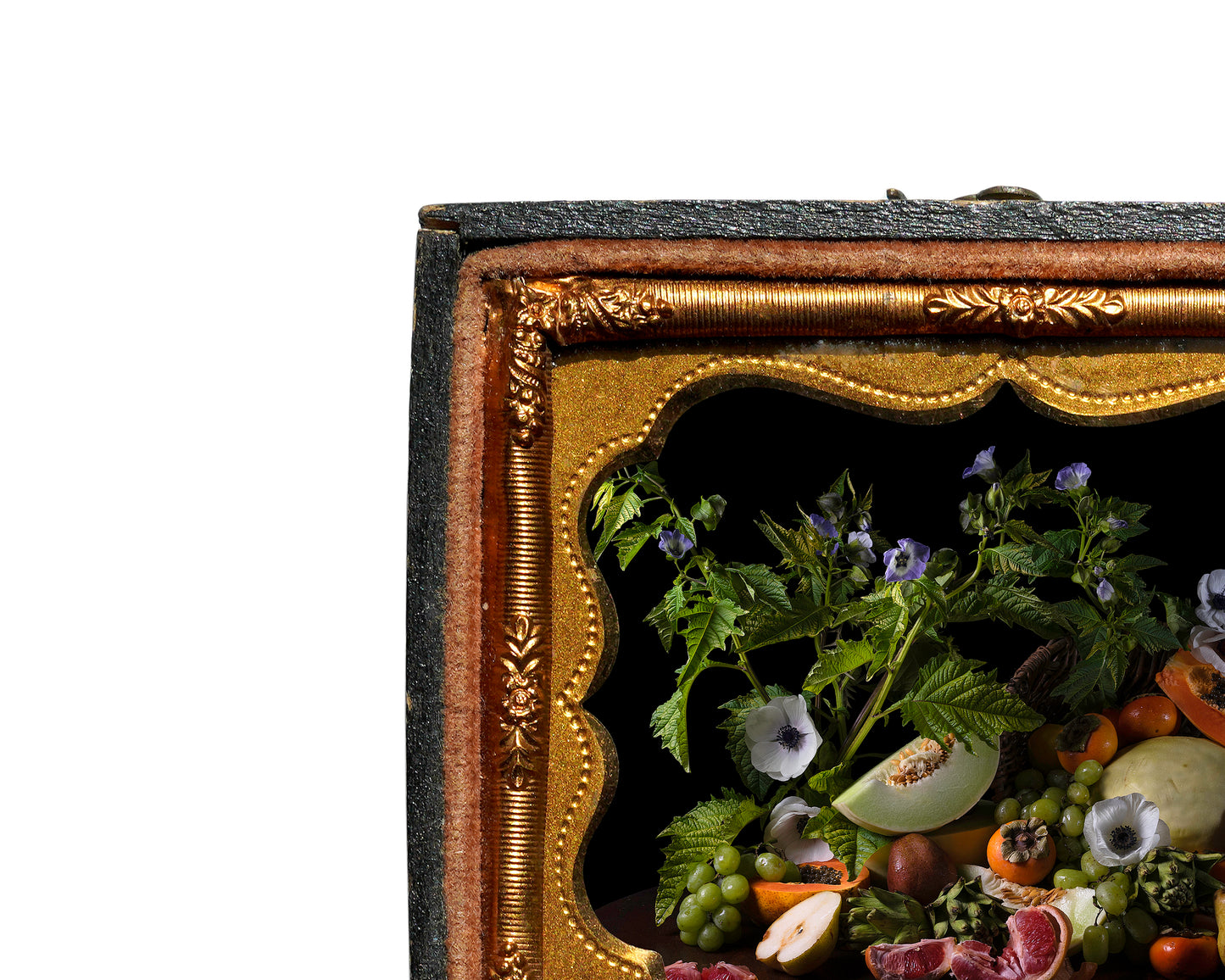 'Copia' in Antique Union Case