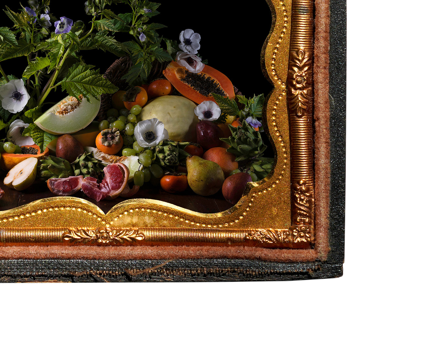 'Copia' in Antique Union Case