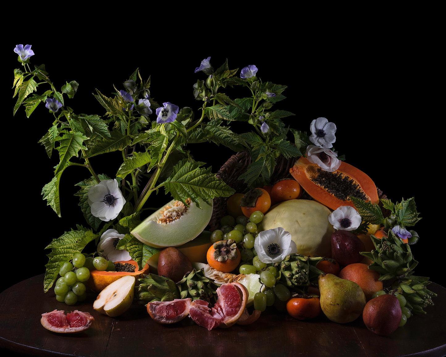 'Copia' -  Limited Run Print