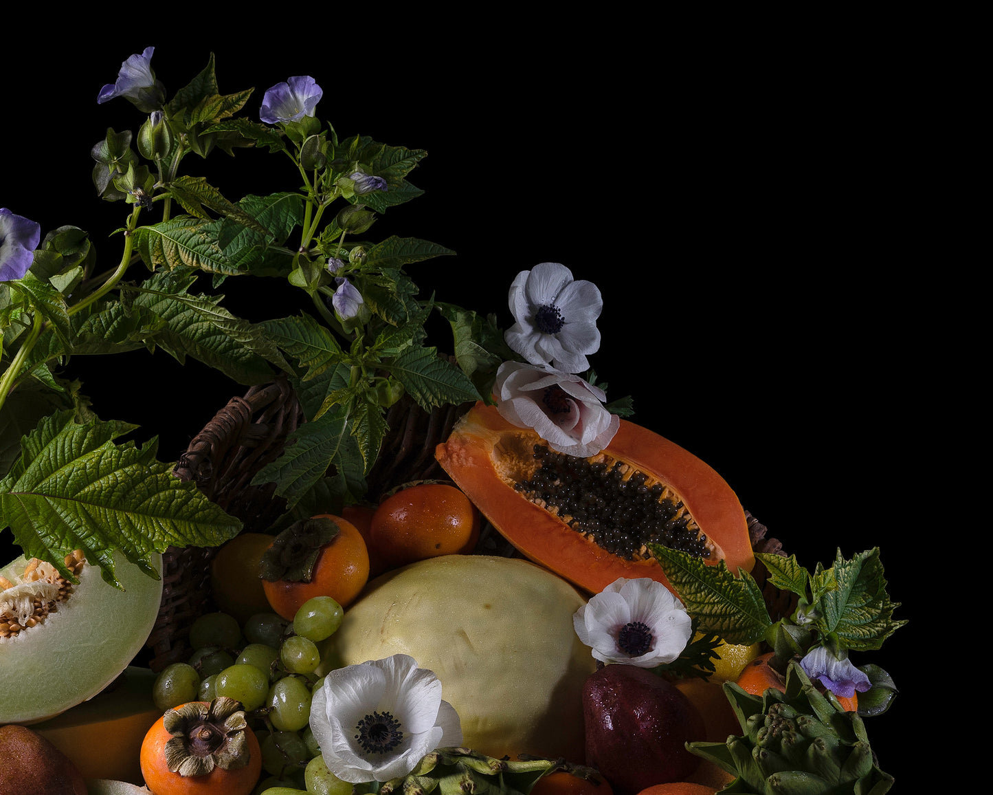 'Copia' -  Limited Run Print