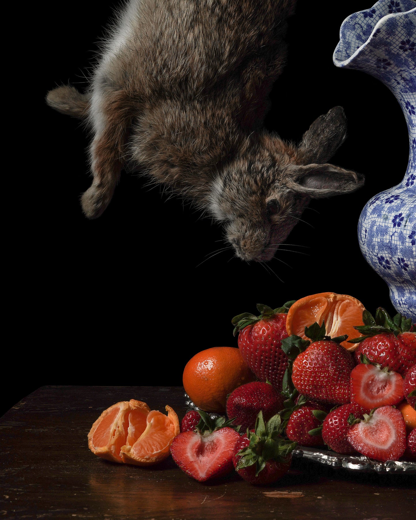 'Cyclus' - Limited Run Print