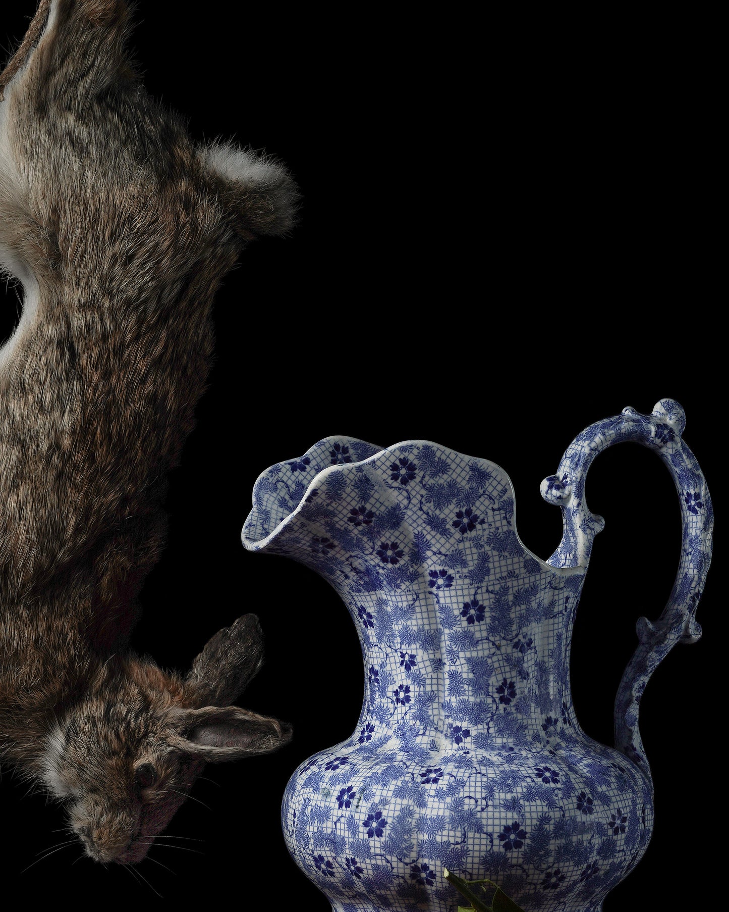 'Cyclus' - Limited Run Print