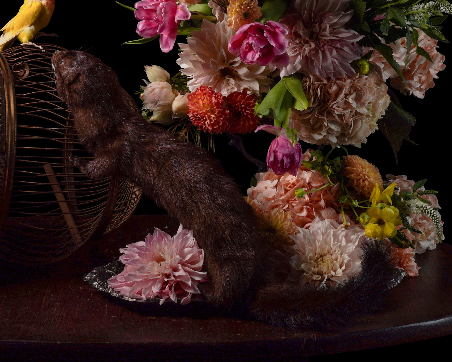 Devorer - Limited Run Print