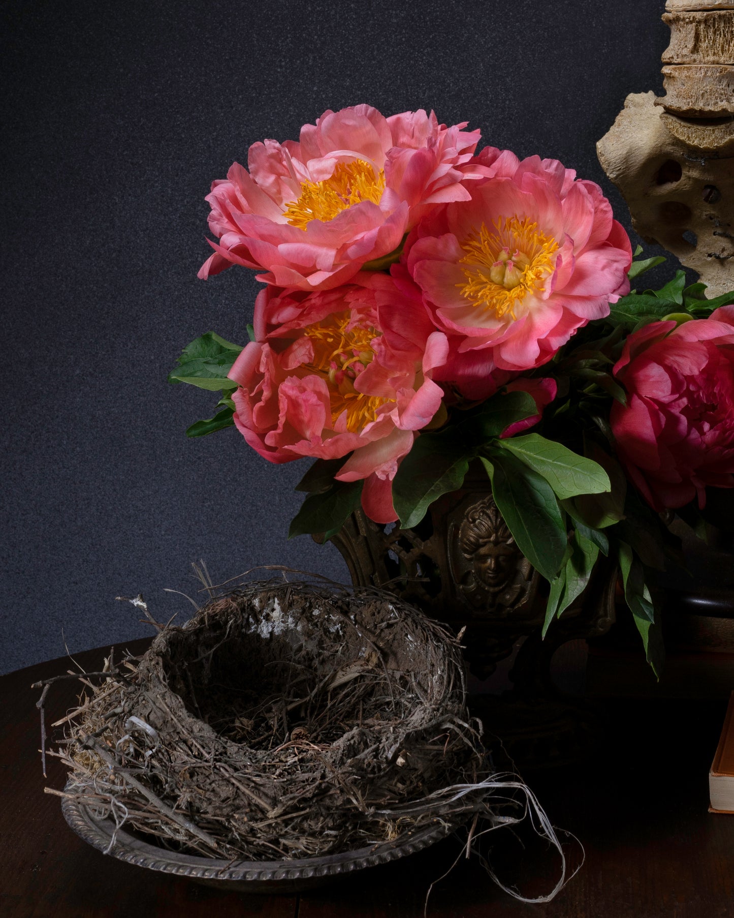 'Devotio' -  Limited Run Print