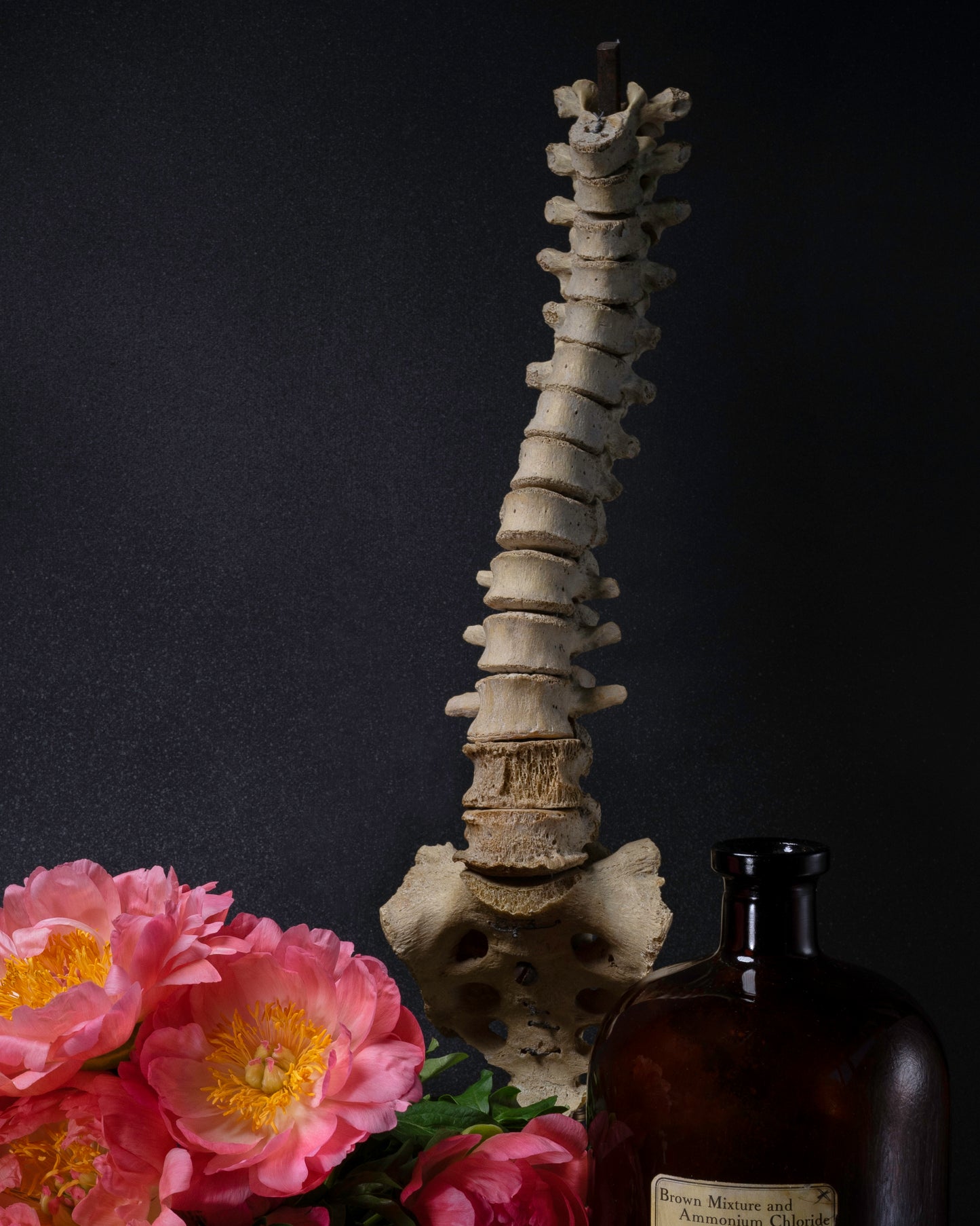 'Devotio' -  Limited Run Print