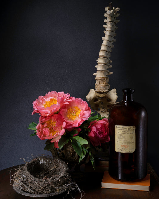 'Devotio' -  Limited Run Print