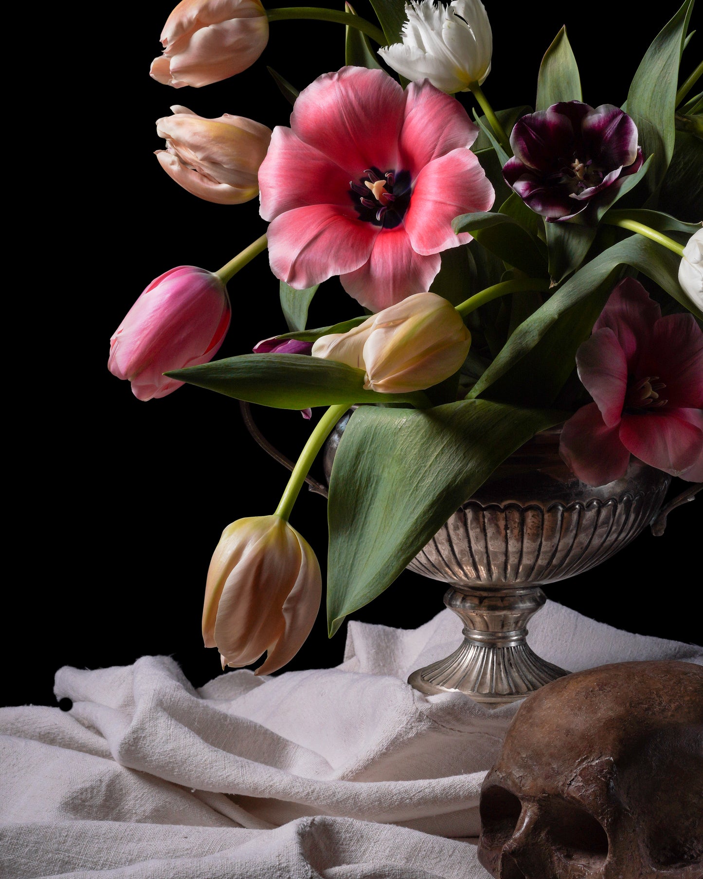 'Dream' -  Limited Run Print