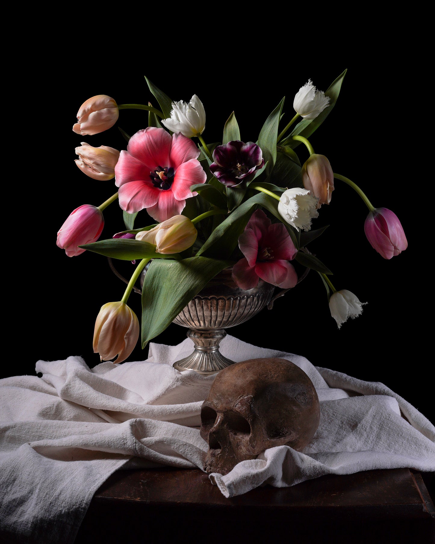 'Dream' -  Limited Run Print