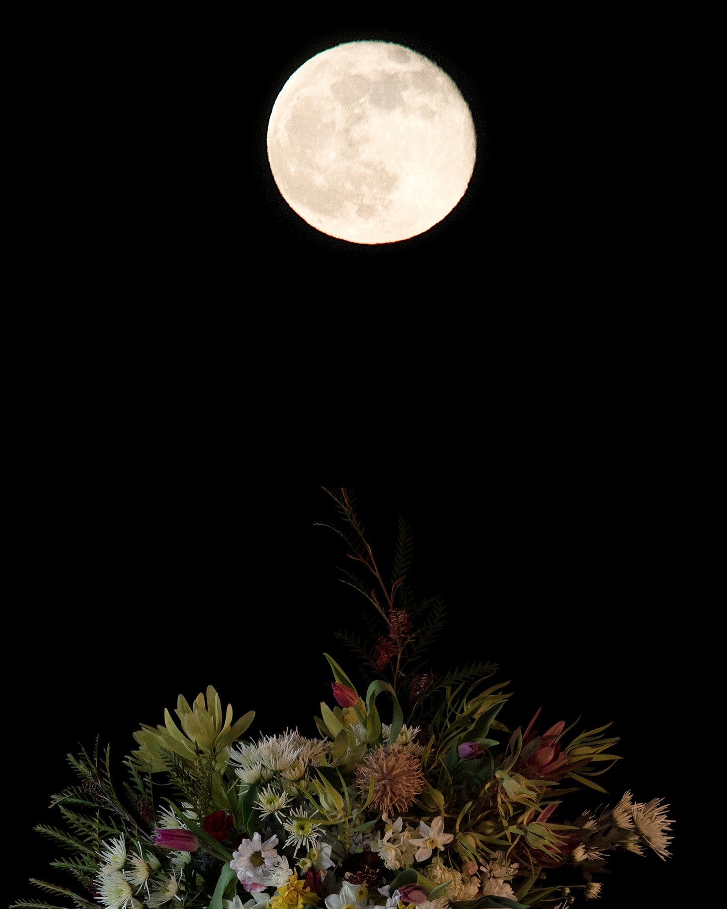 Egredior - Limited Run Print