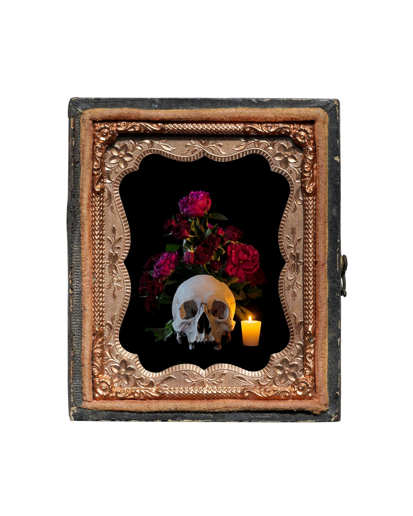 'Florere' in Antique Union Case