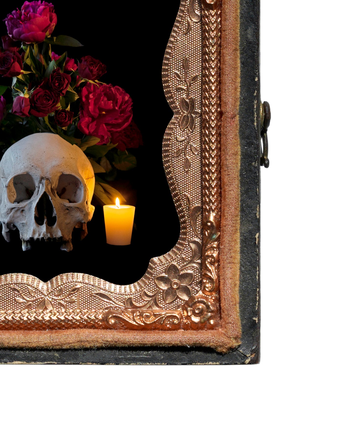 'Florere' in Antique Union Case