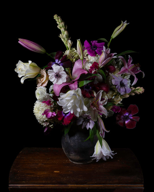 'Hāēlan' -  Limited Run Print