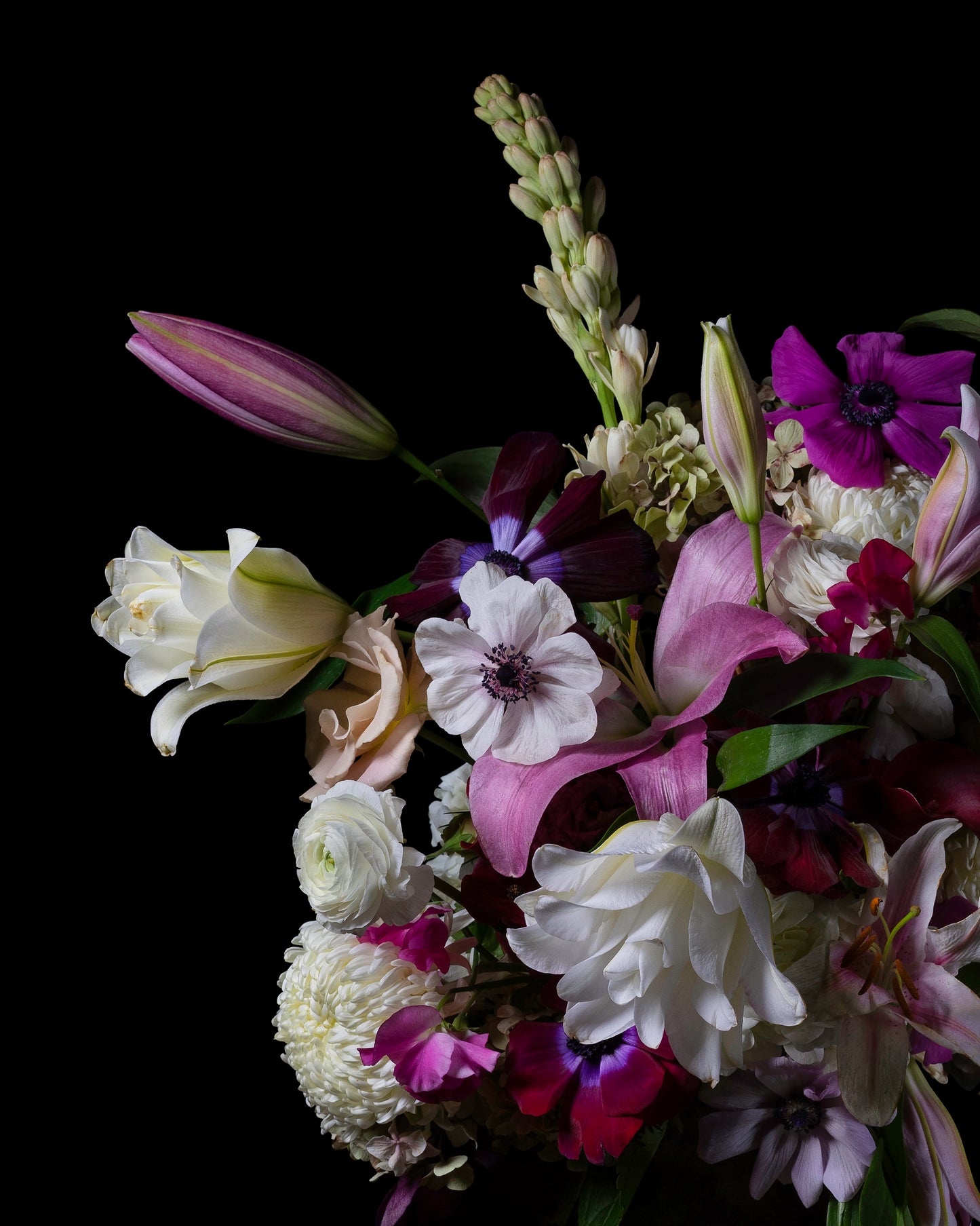 'Hฤฤlan' -  Limited Run Print