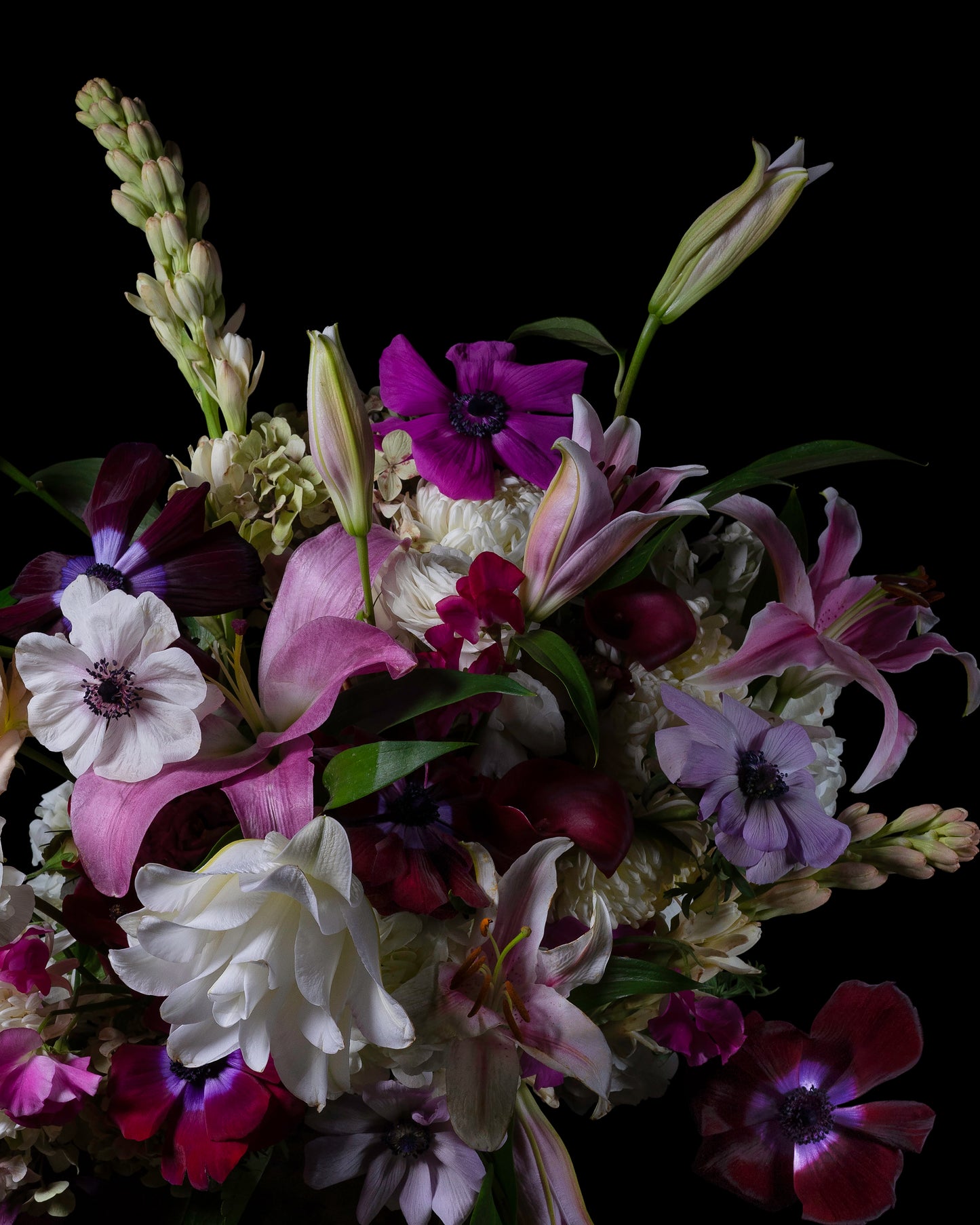 'Hฤฤlan' -  Limited Run Print