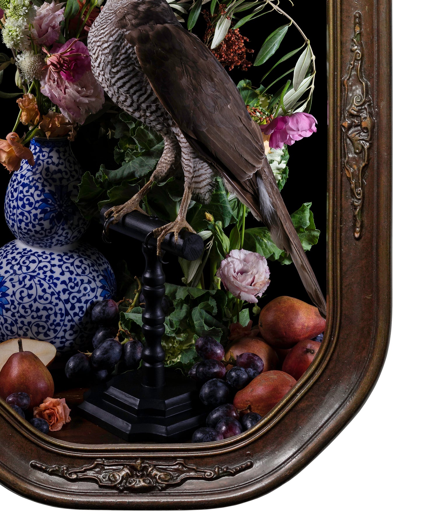 'Immortalis' in Antique Frame
