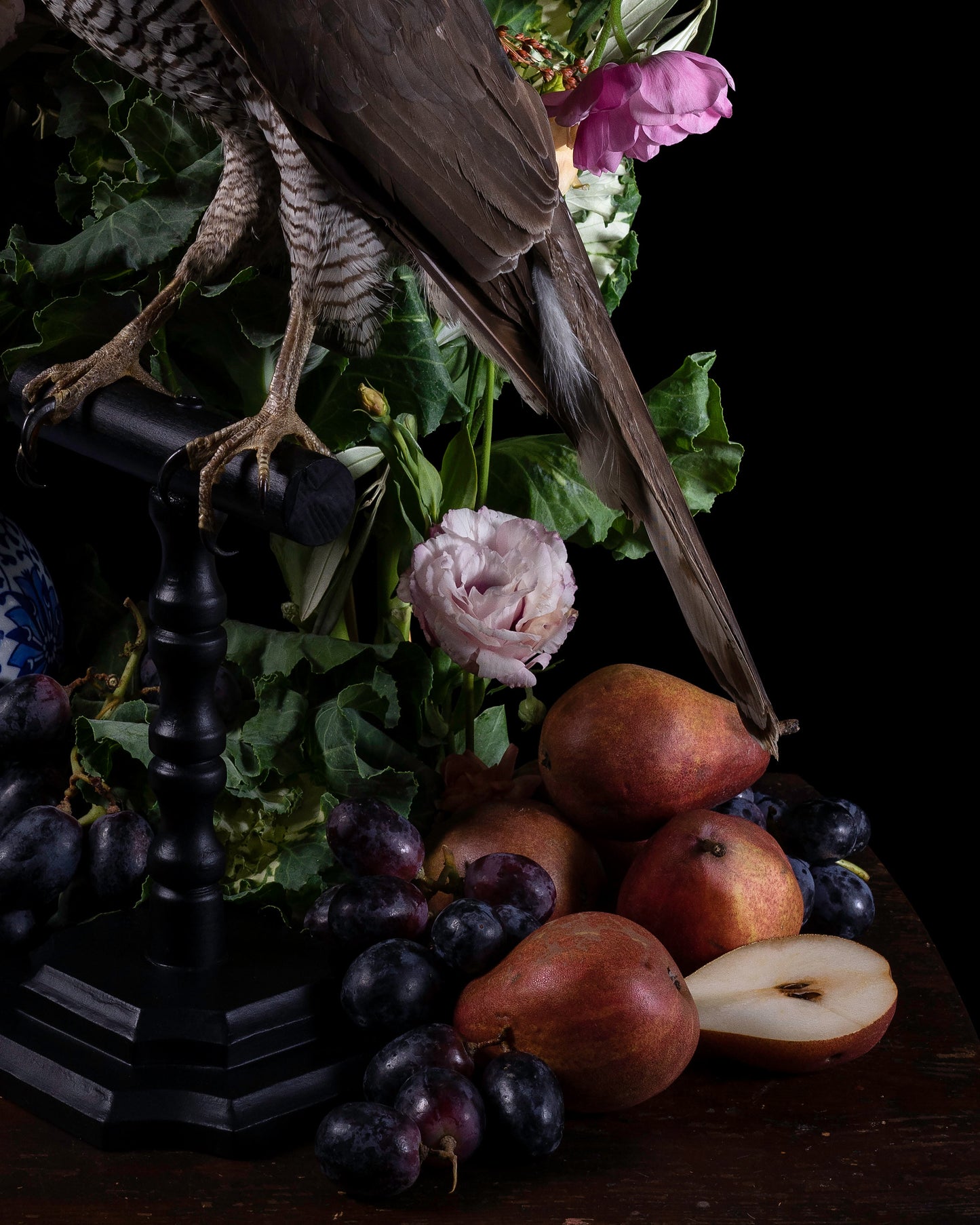 'Immortalis' - Limited Run Print