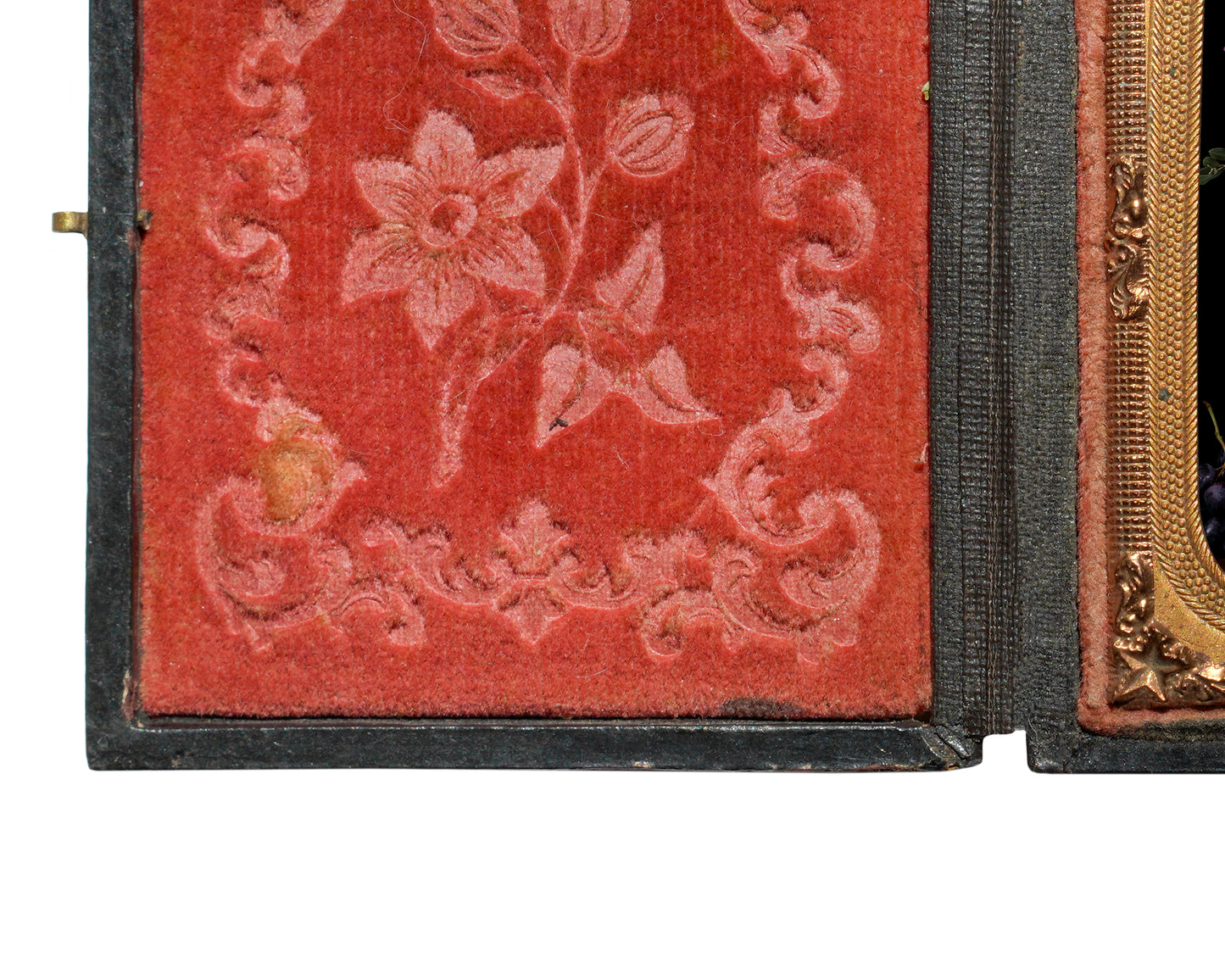 'Immortalis' in Antique Union Case