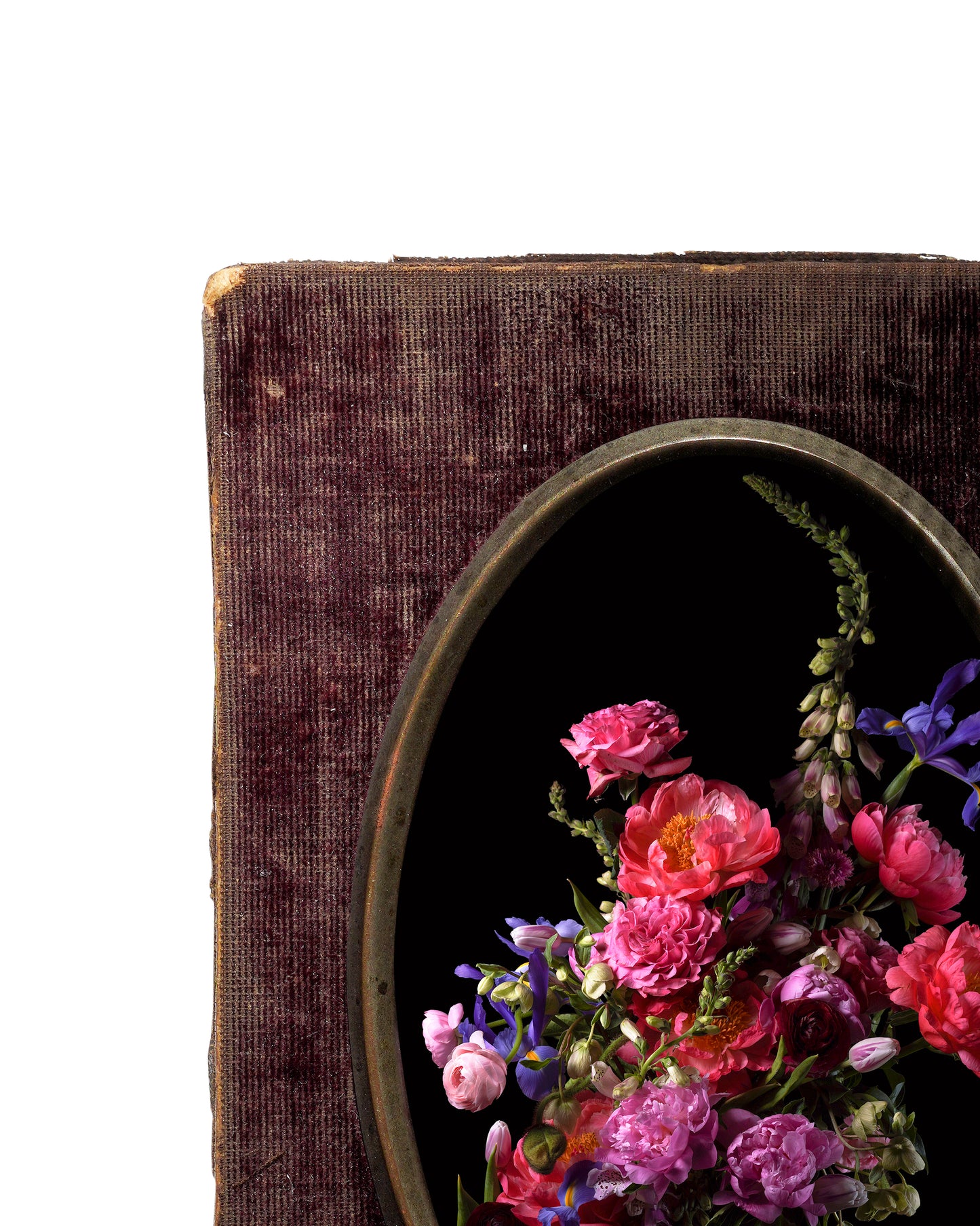 'Lasche' in Victorian Frame