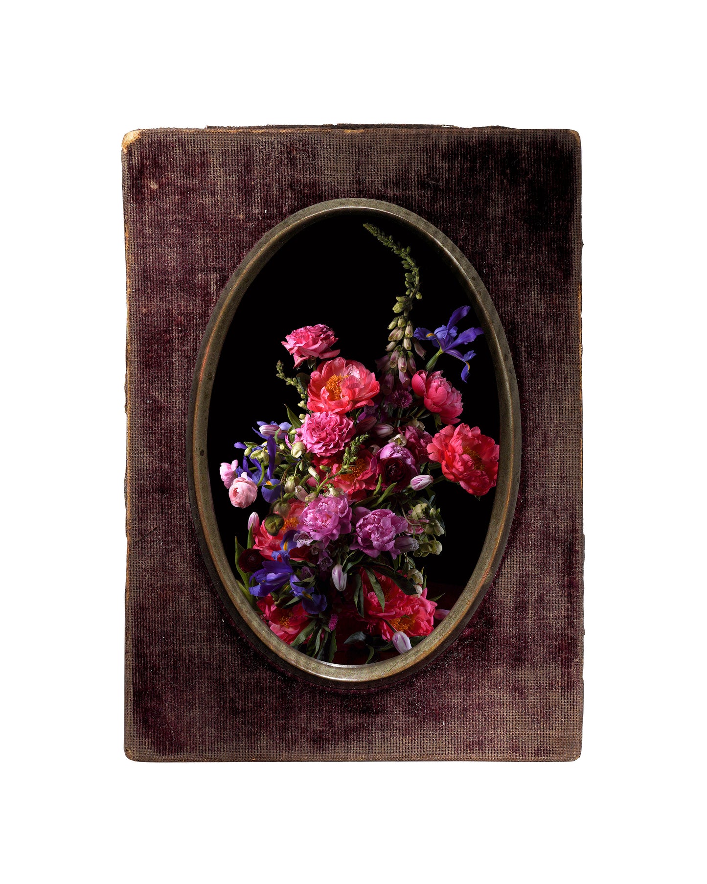 'Lasche' in Victorian Frame