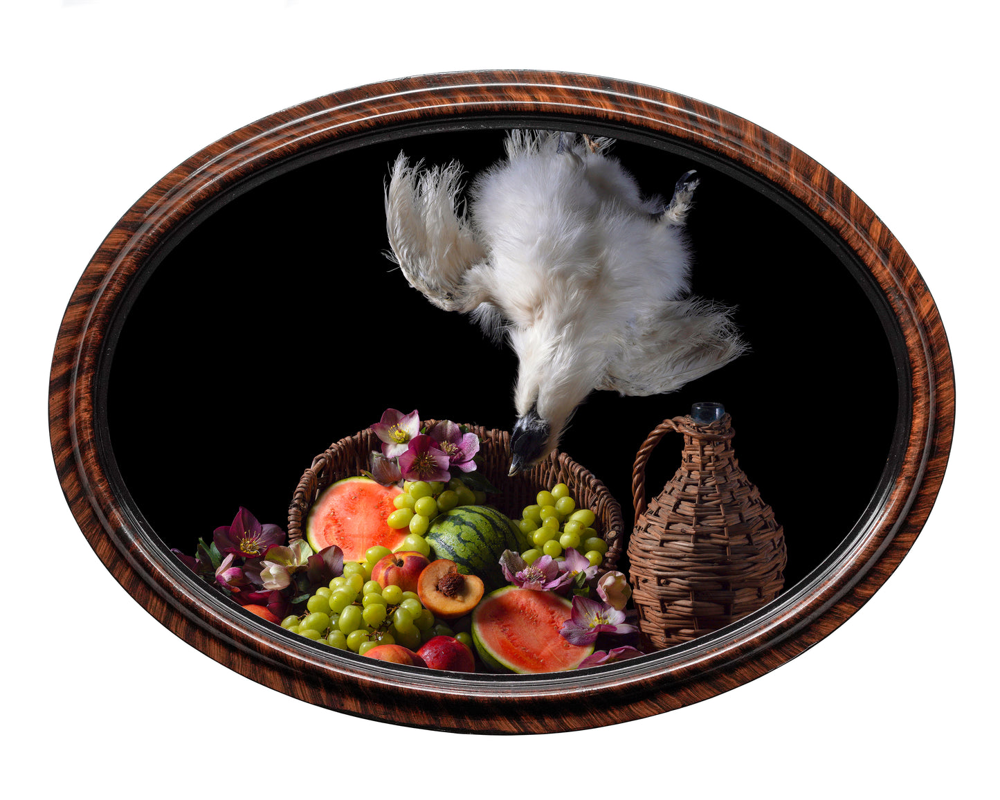 'Lifian' in Victorian Frame