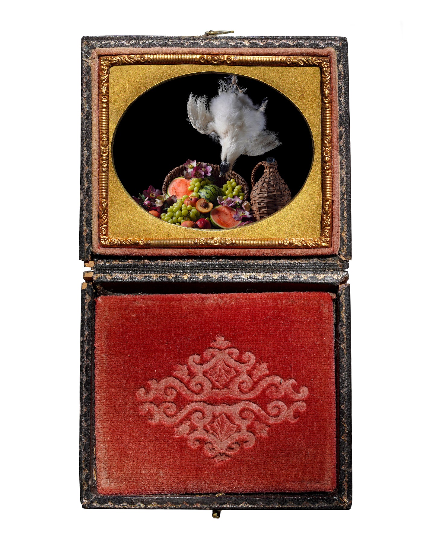 'Lifian' in Antique Union Case