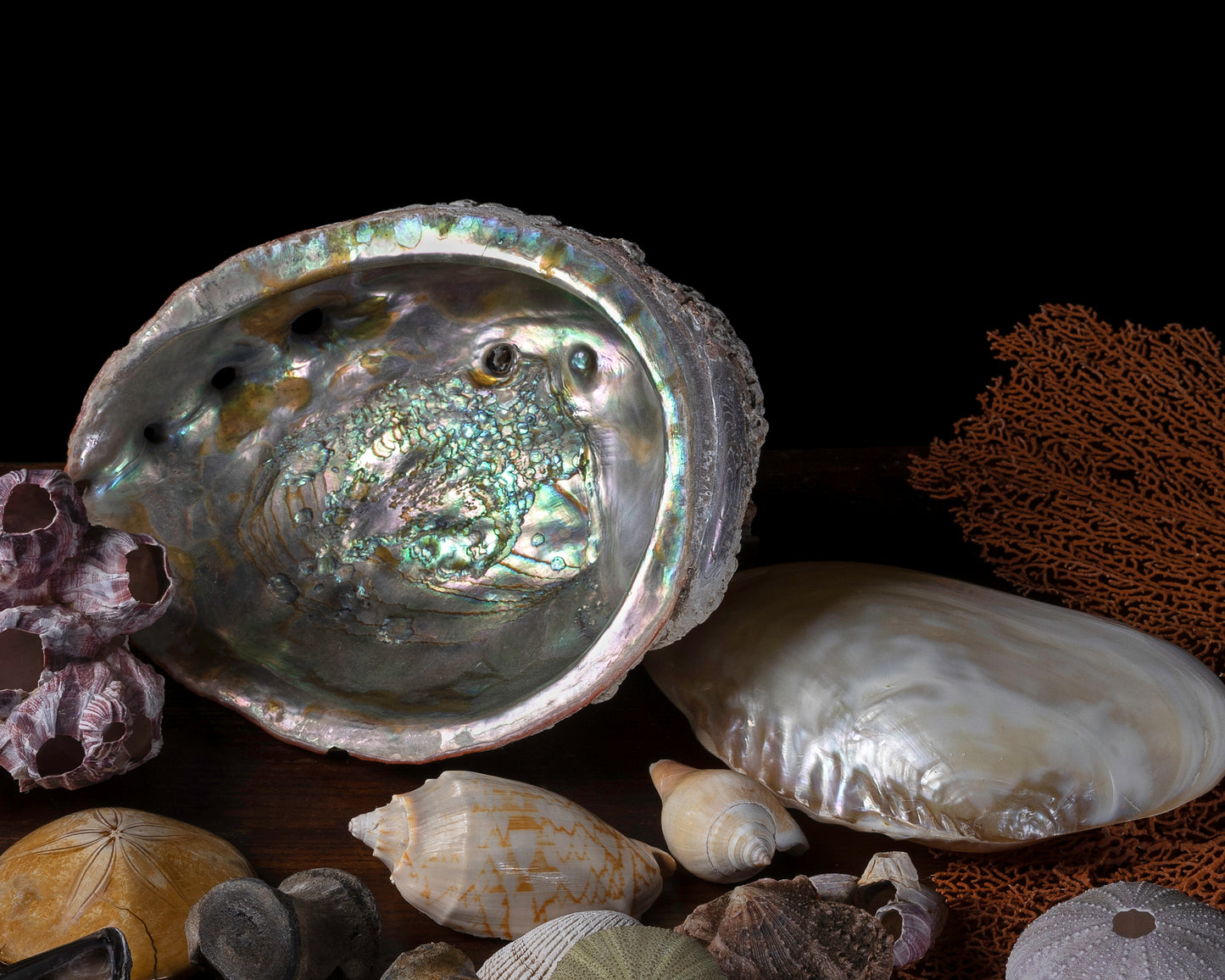 'Memorie' -  Limited Run Print