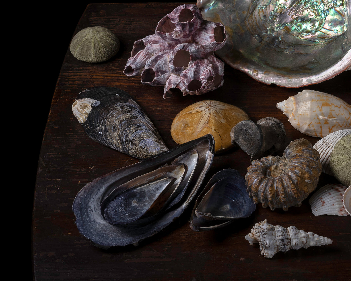 'Memorie' -  Limited Run Print