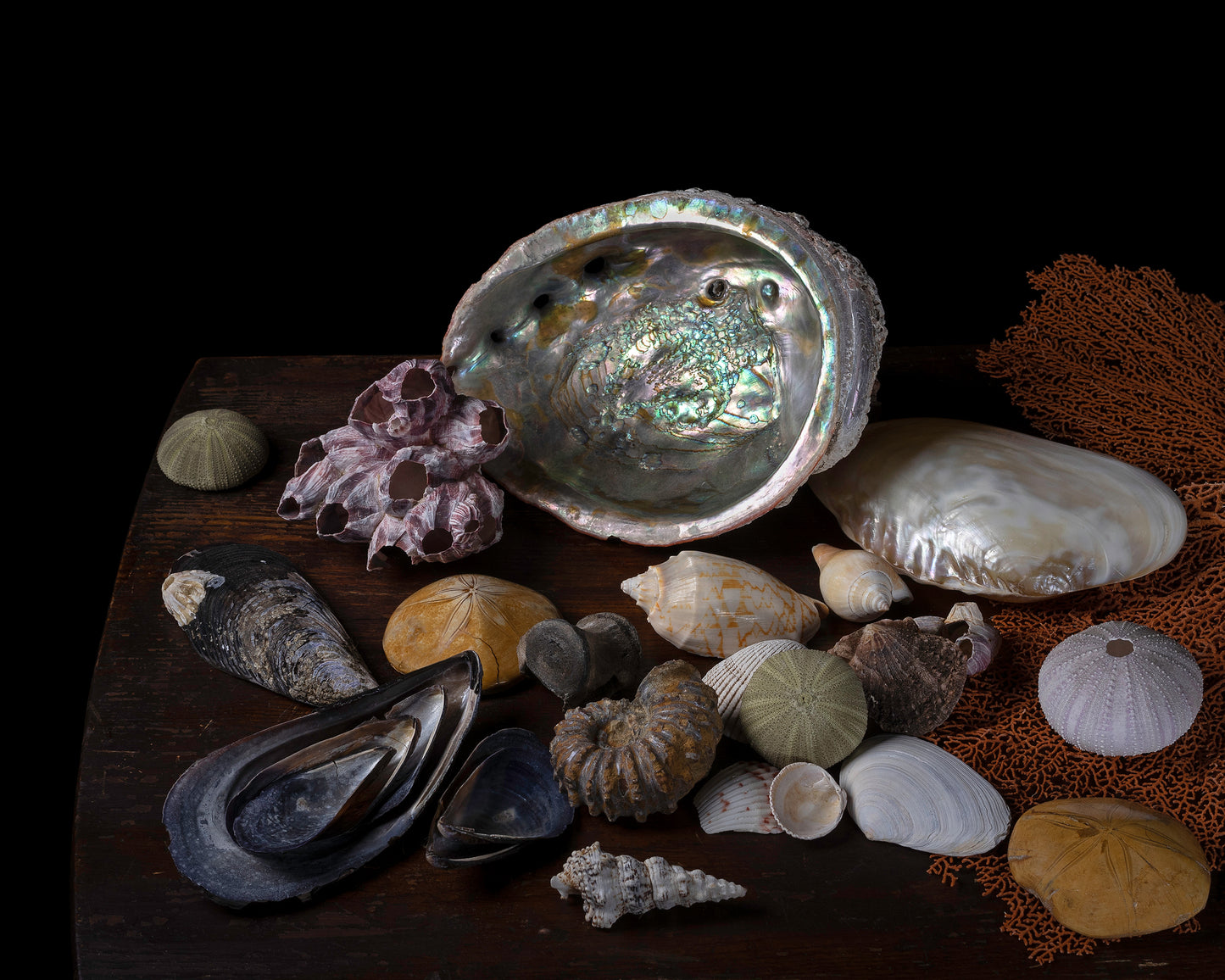 'Memorie' -  Limited Run Print