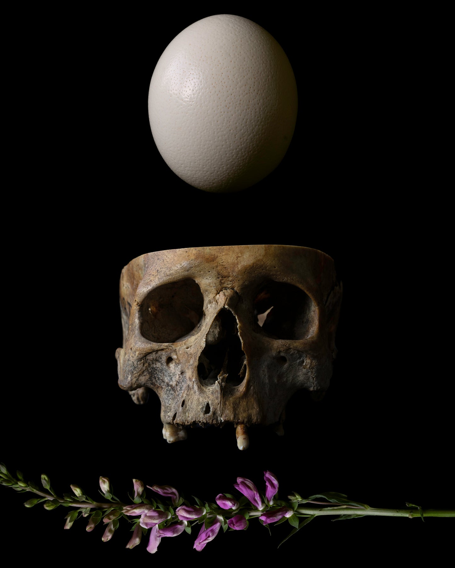'Midsommar' - Limited Run Print
