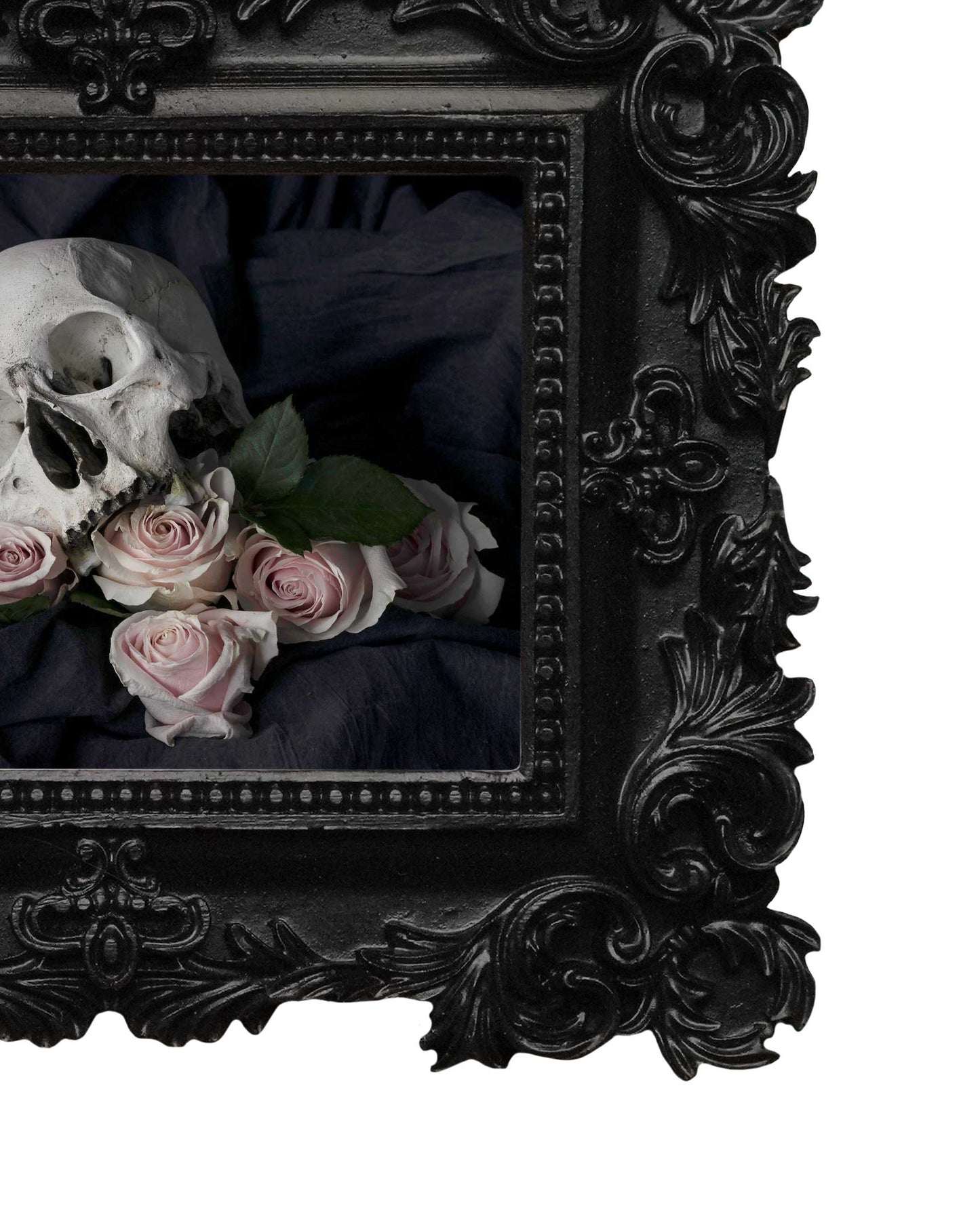 Ācēocian - Mini Frame Print