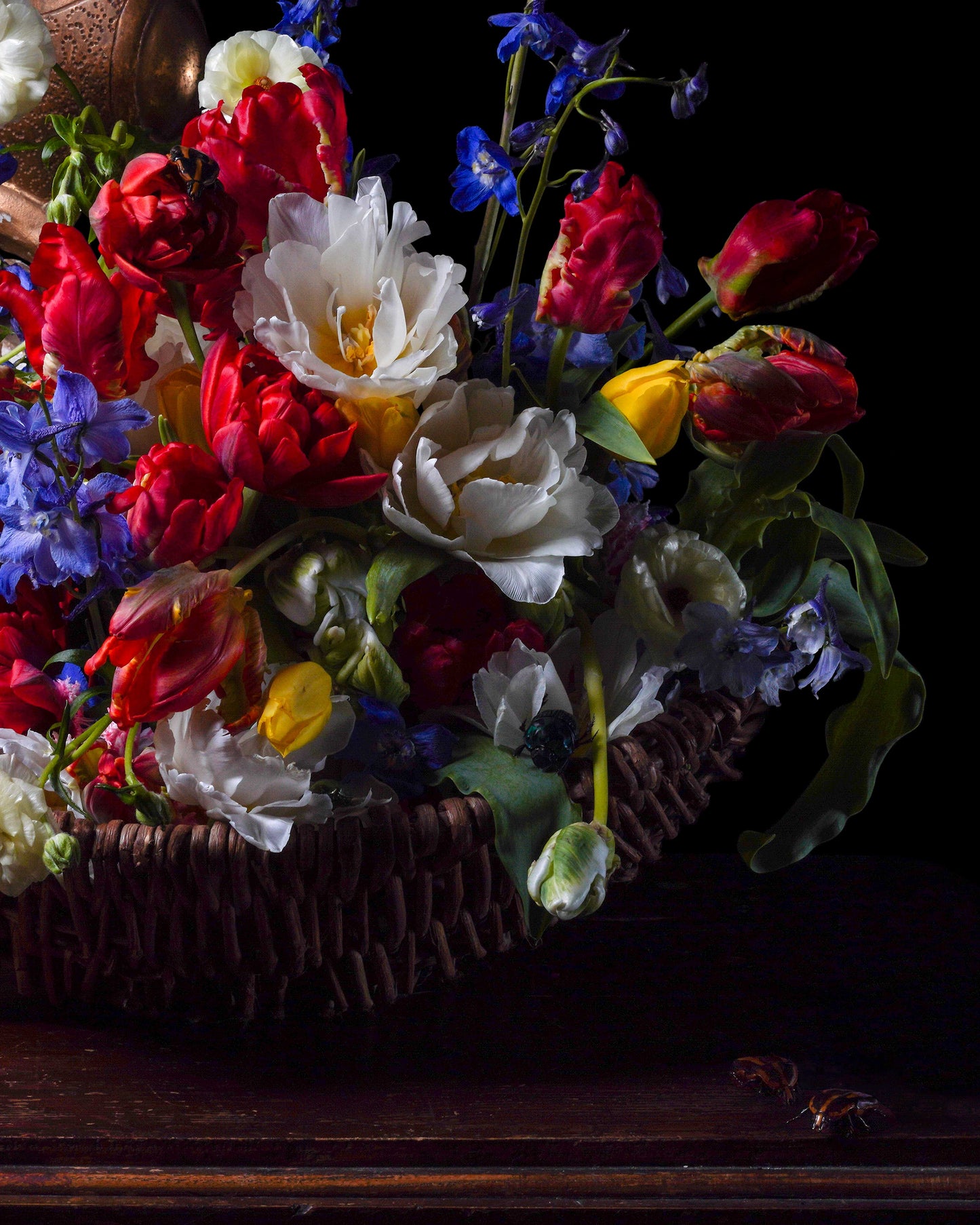 Nasentia - Limited Run Print