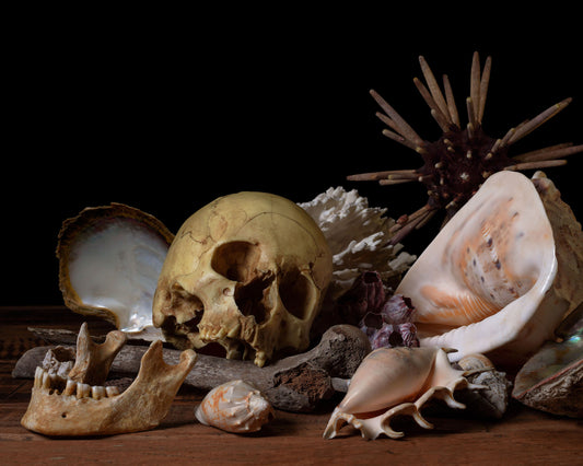 'Pelagios' -  Limited Run Print