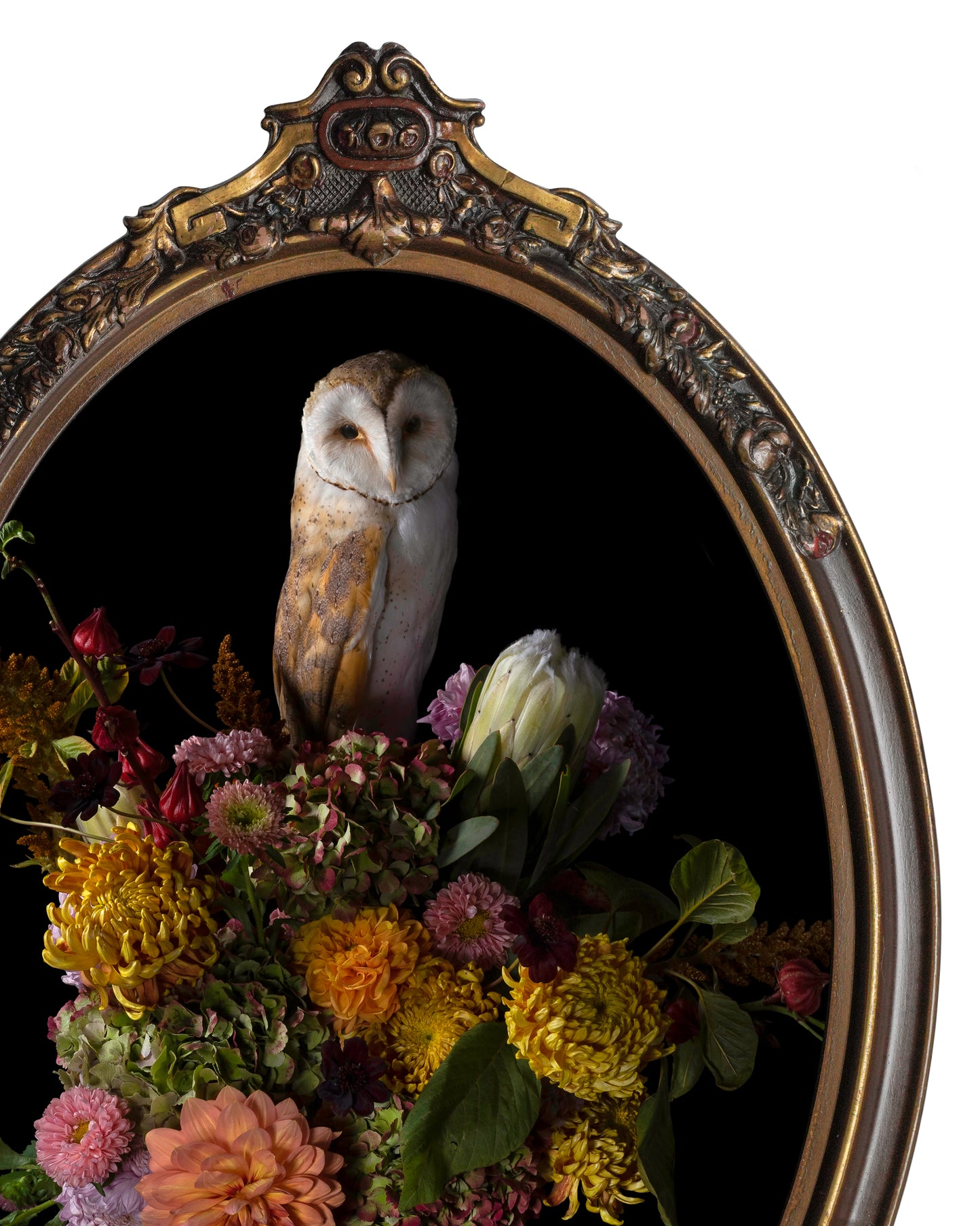 'Phantasm' in Victorian Frame