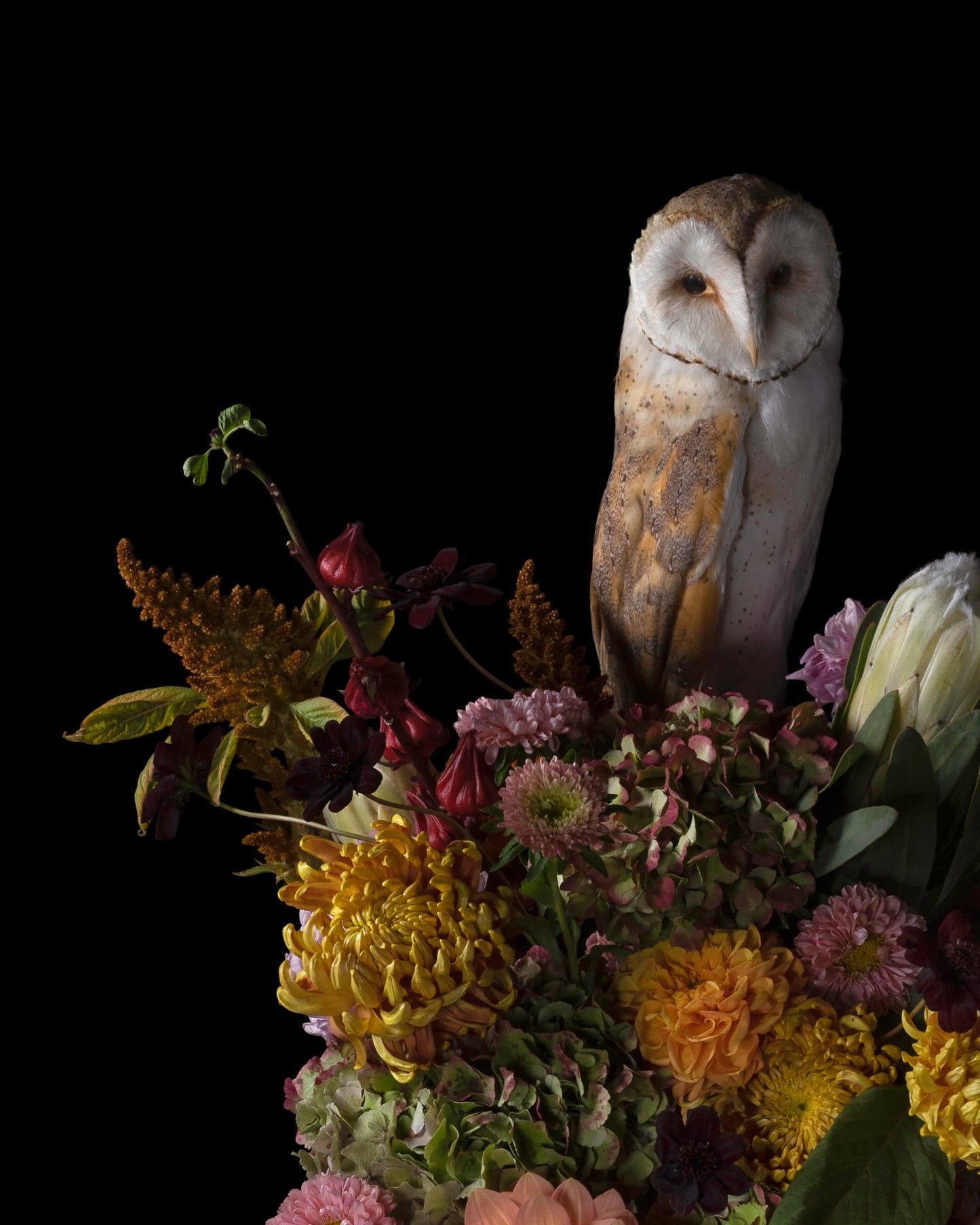 'Phantasm' -  Limited Run Print