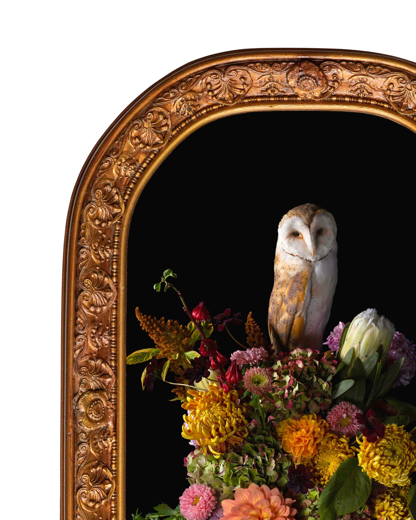 'Phantasm' in Antique Frame